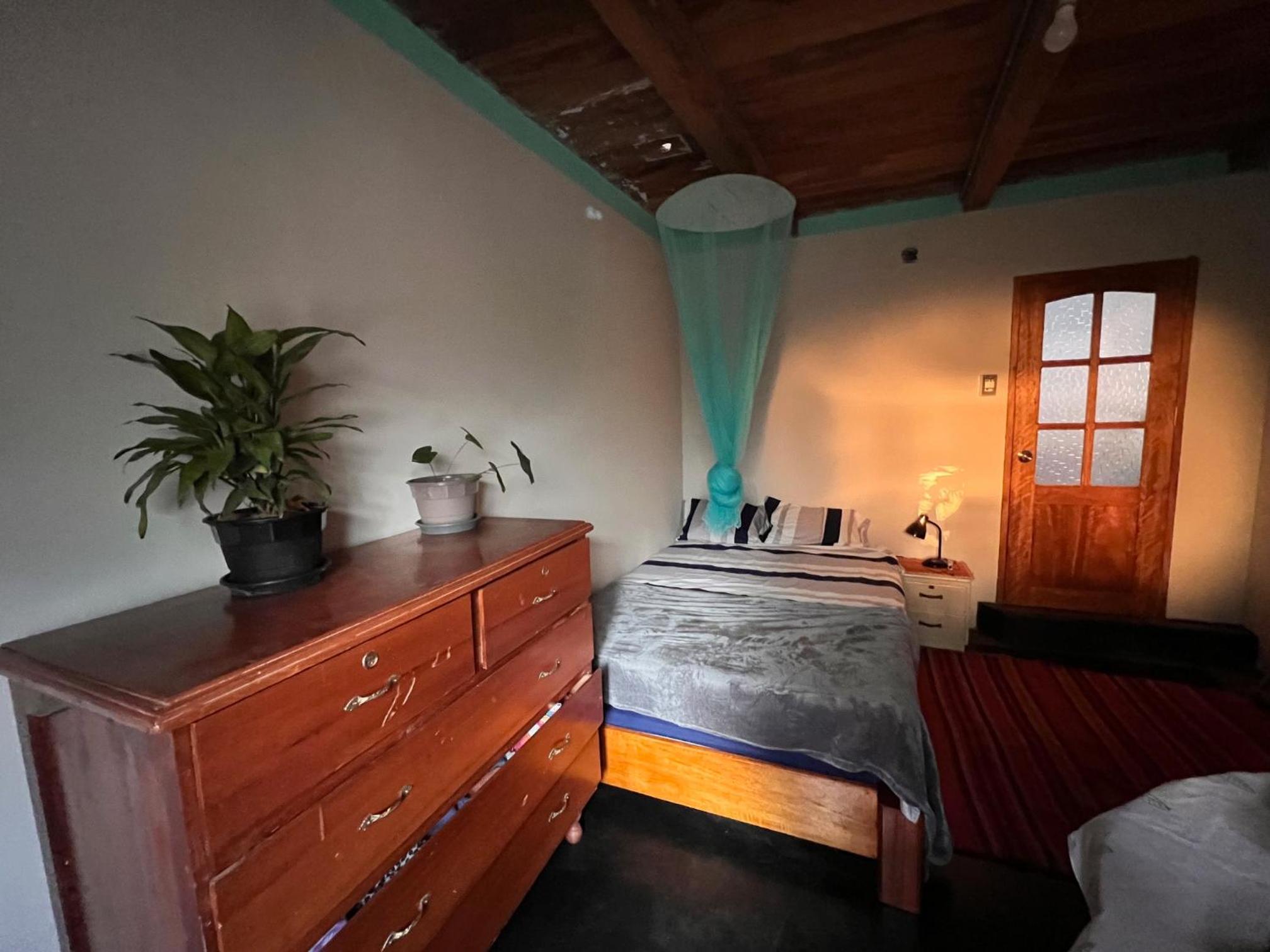 One-Bedroom House photo 3