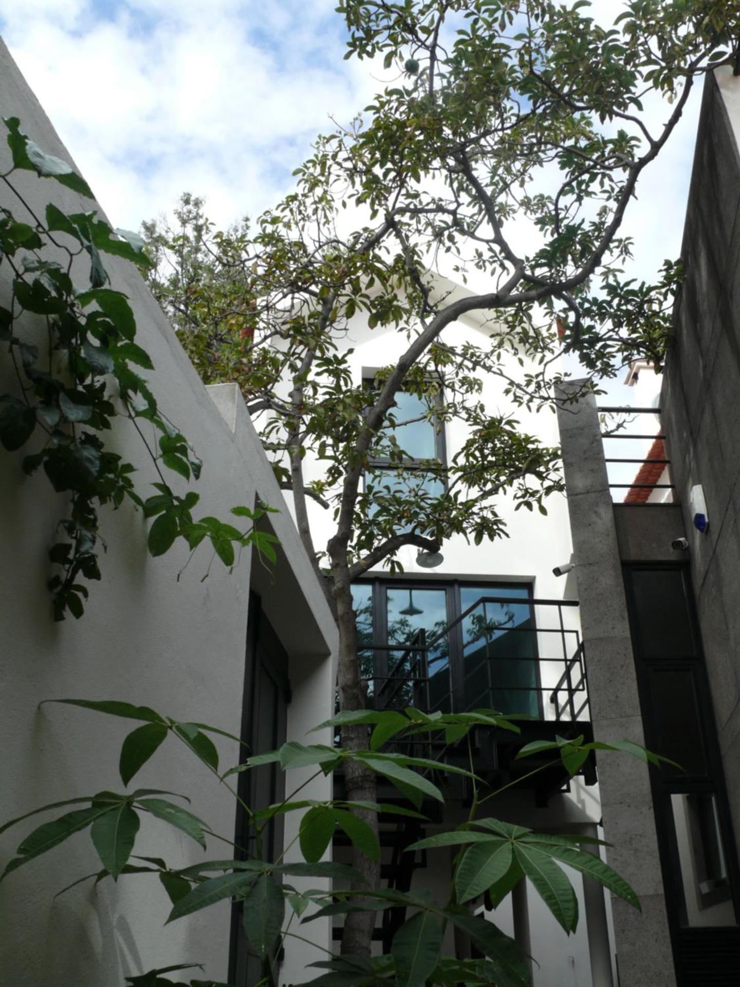 Loft - Photo 7