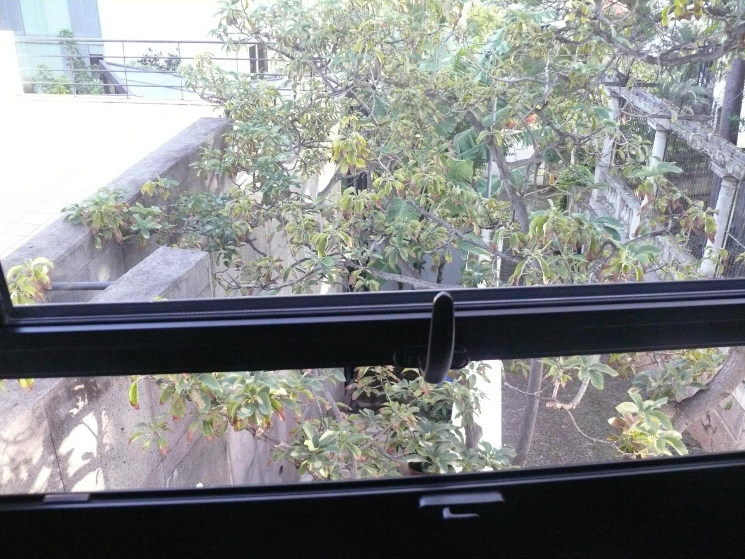 Loft - Photo 13