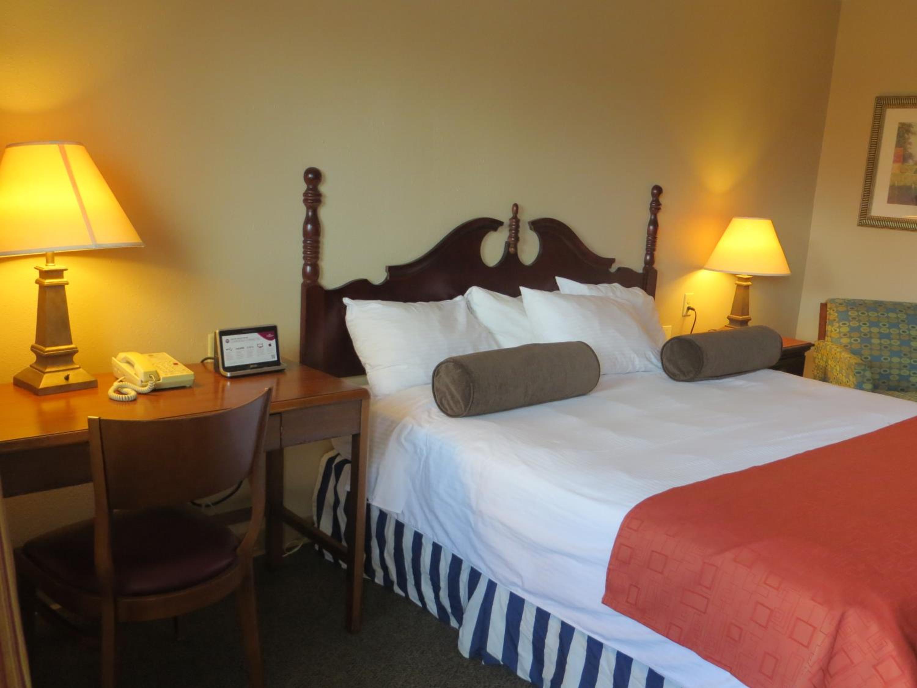King Room - Photo 1