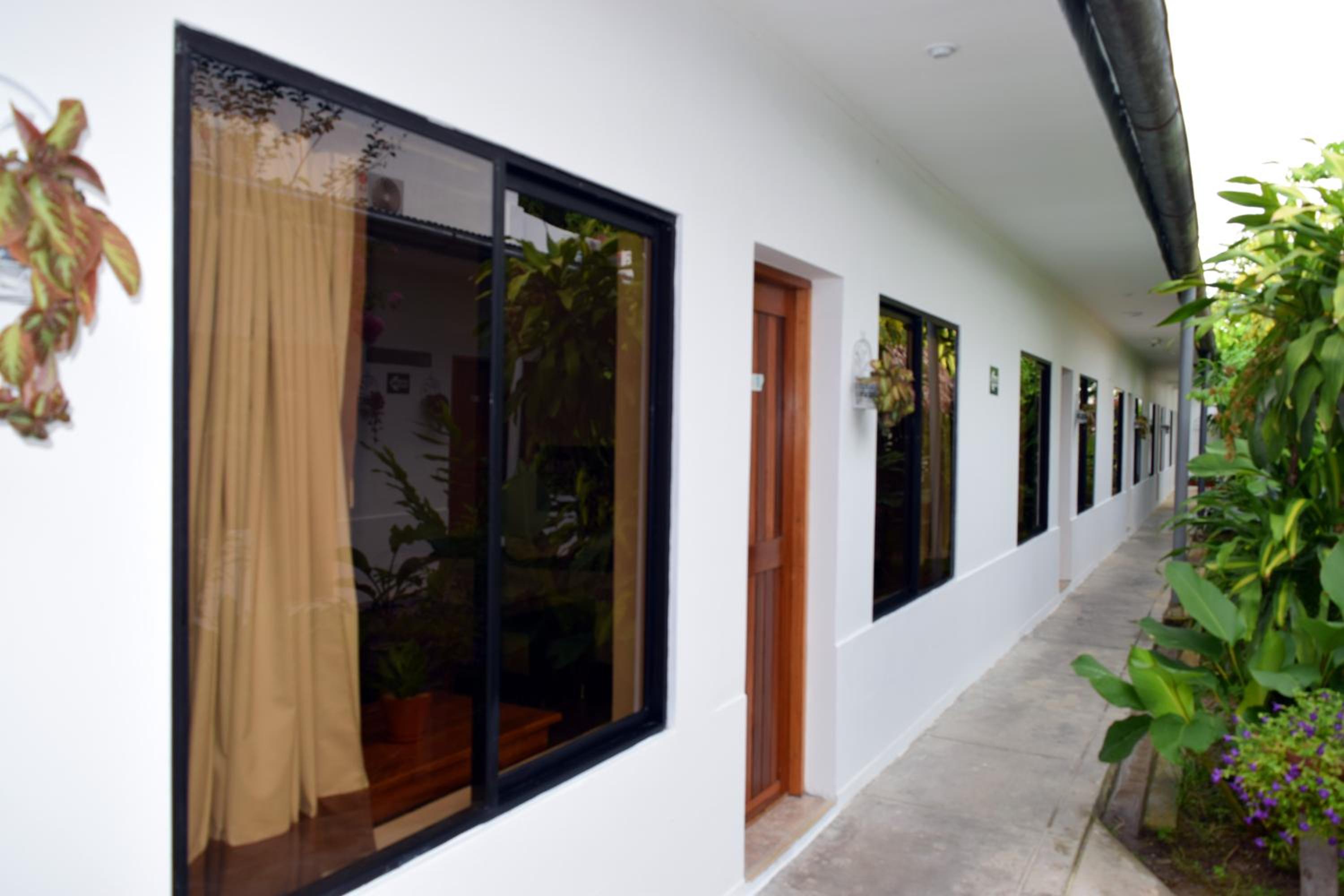 Superior Triple Room with Garden View photo 3