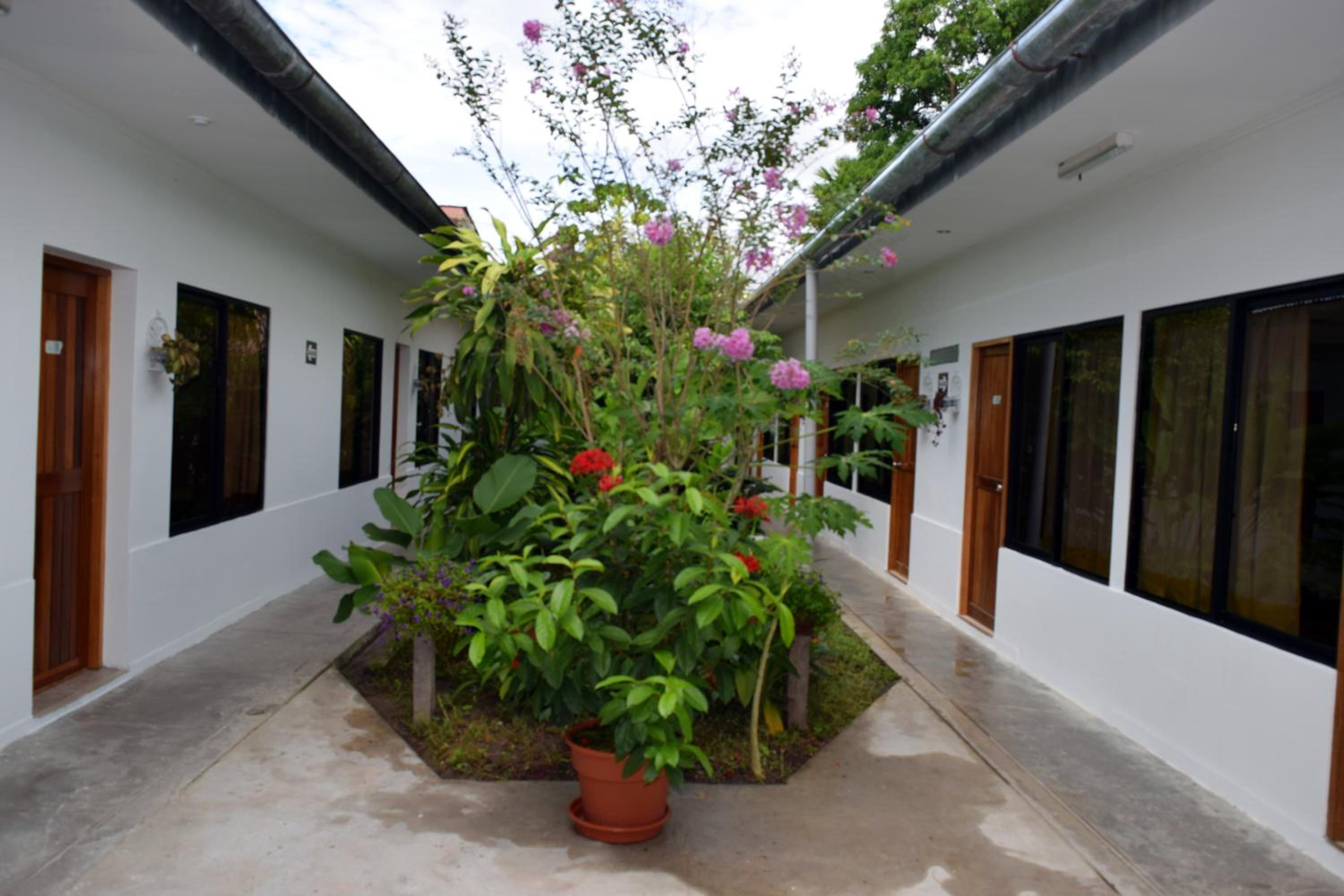 Budget Double Room with Garden View photo 3