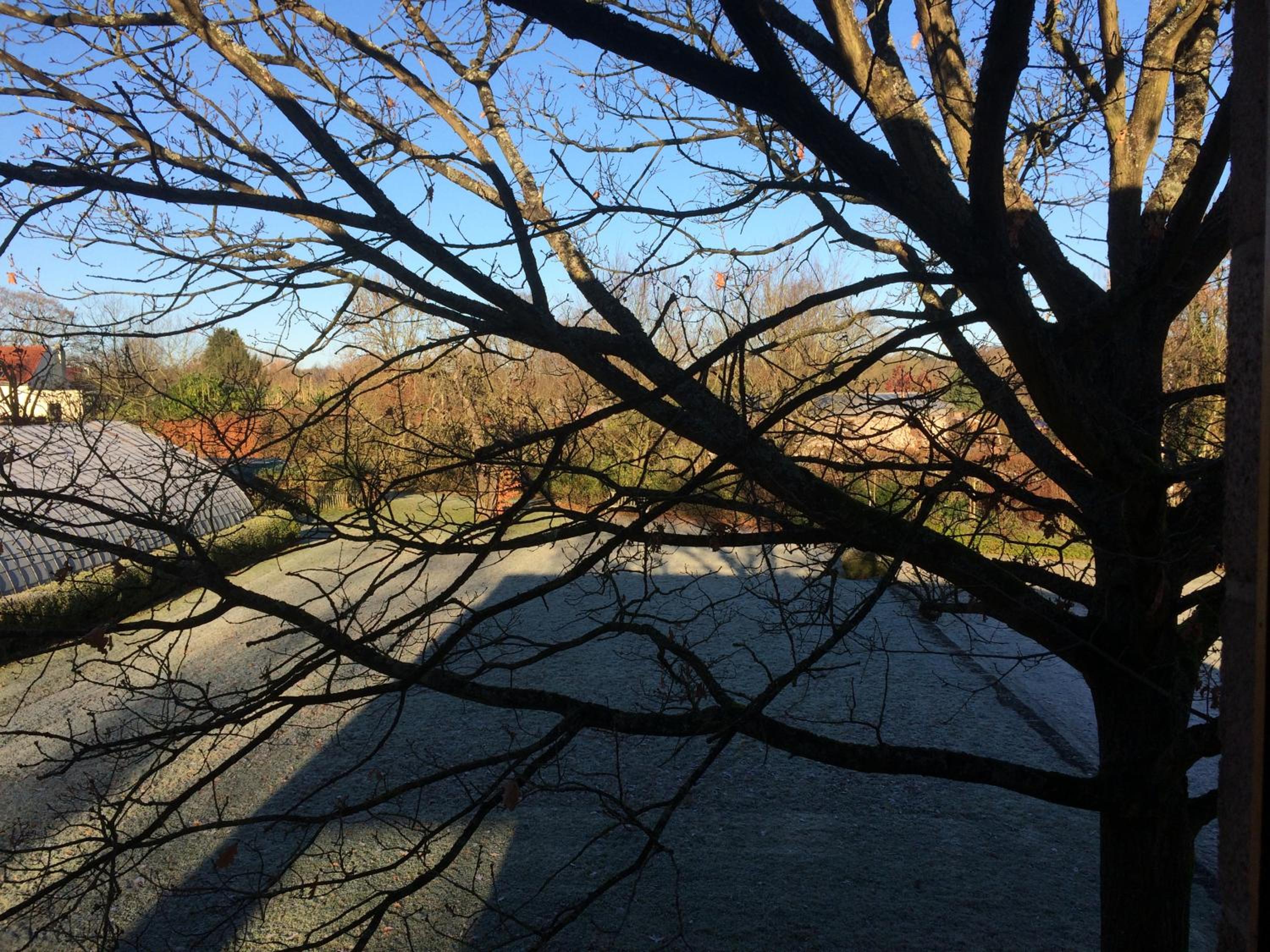 Twin Room with Garden View photo 3