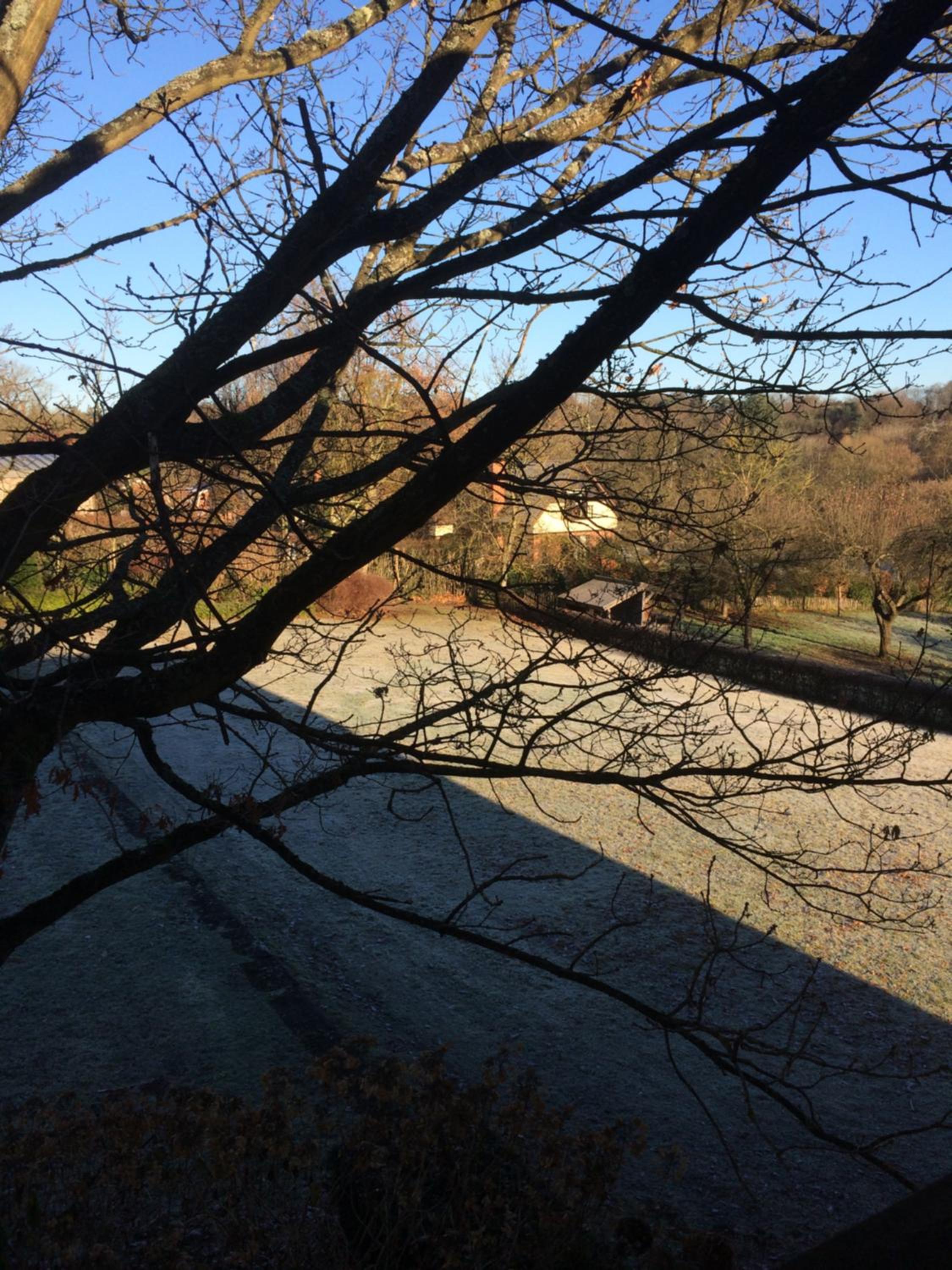 Twin Room with Garden View photo 2
