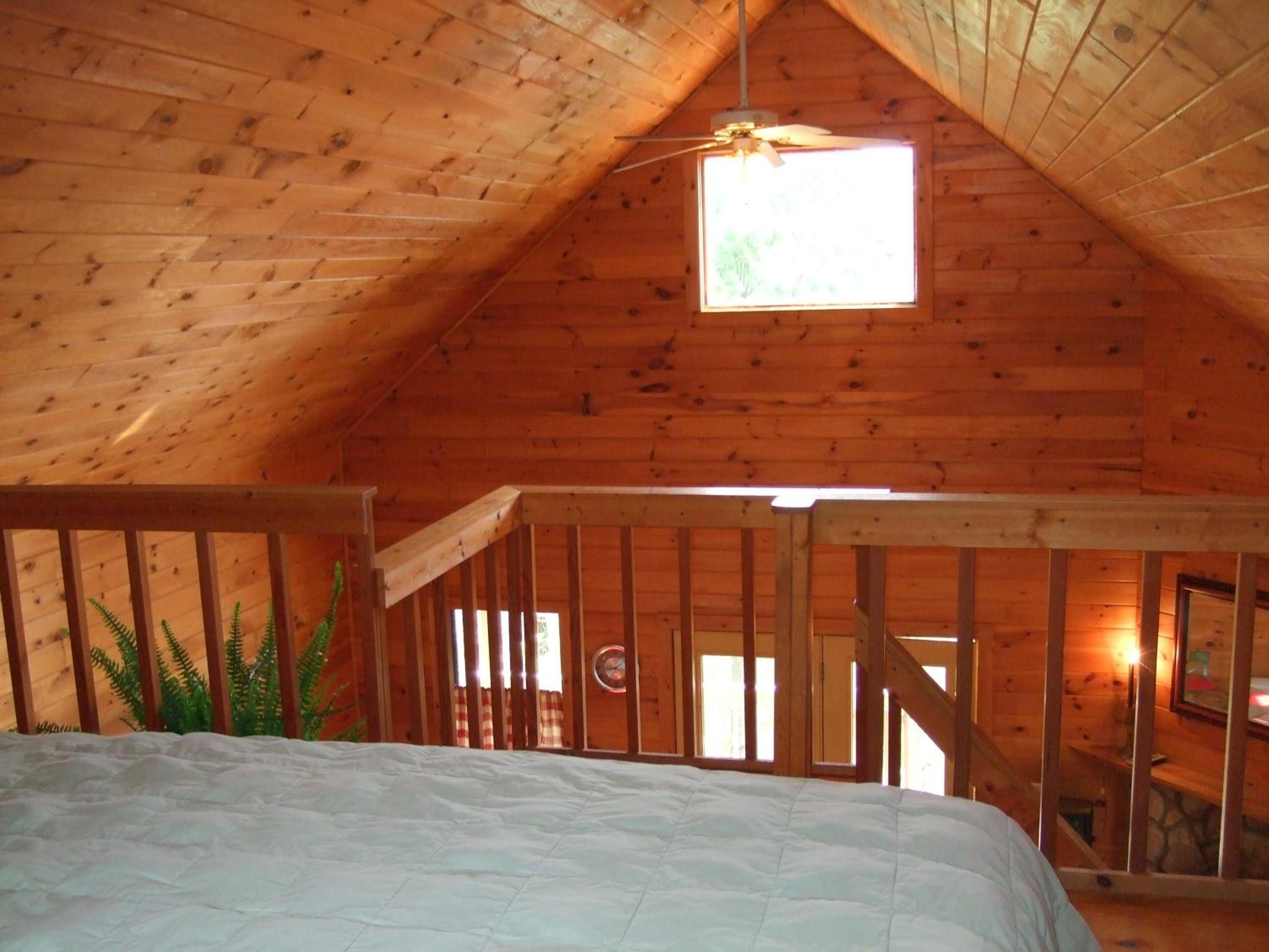 Two-Bedroom House (Rabbit Hill) photo 1