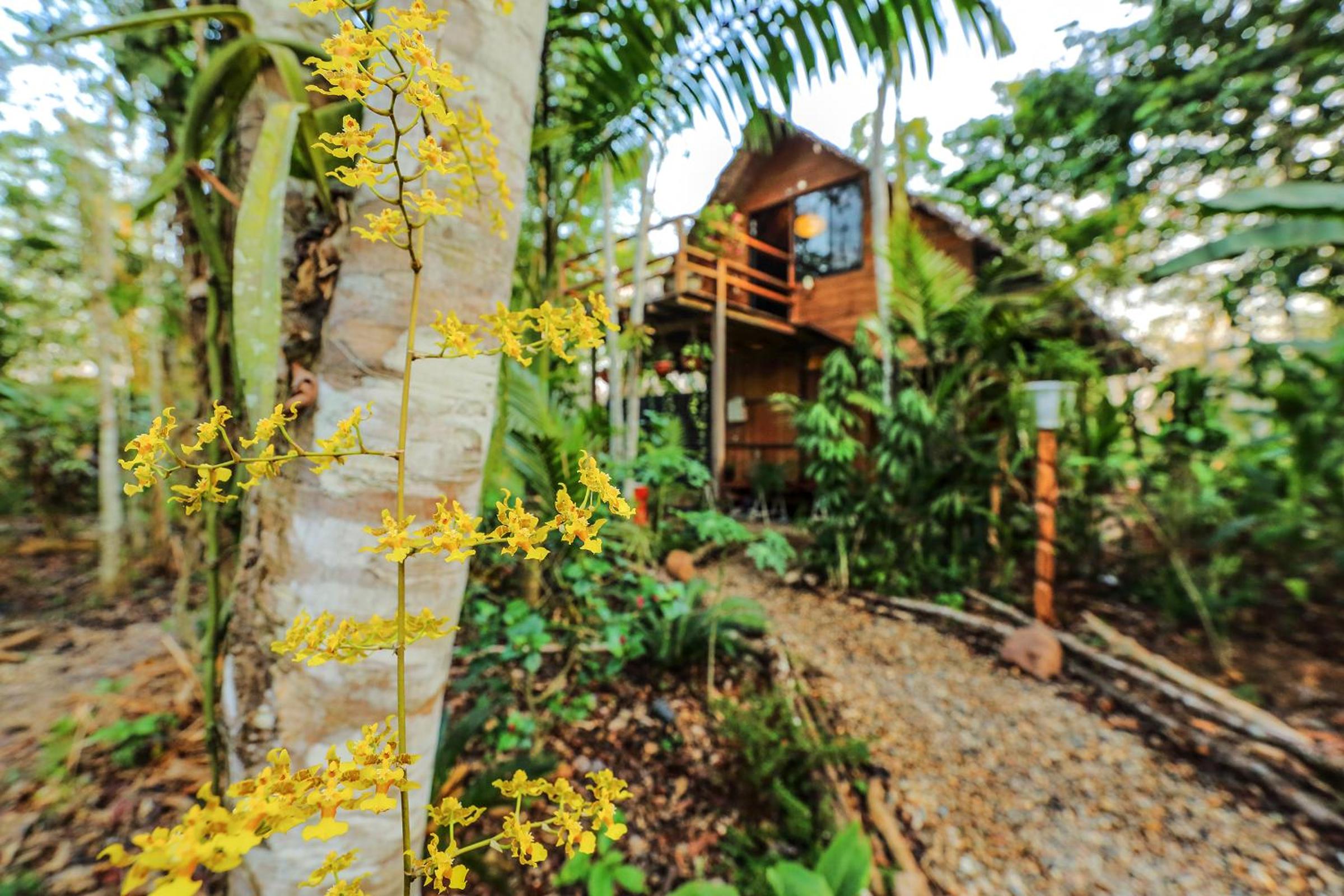 Superior Bungalow - Photo 4