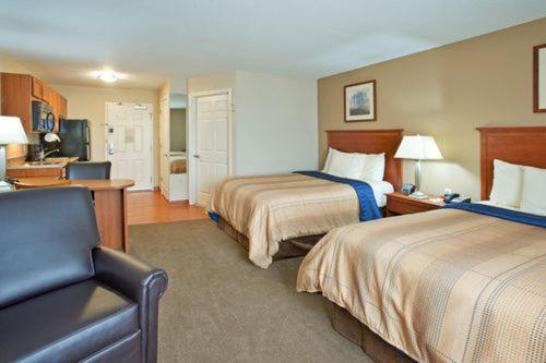 Studio Suite with Two Double Beds - Photo 1