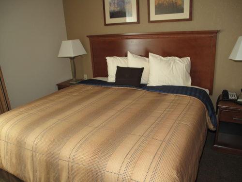 Studio Suite with Two Double Beds - Photo 4
