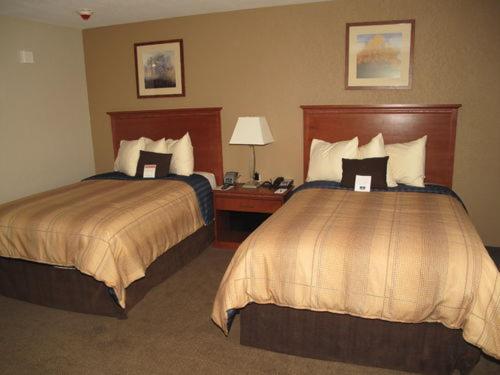 Studio Suite with Two Double Beds - Photo 5