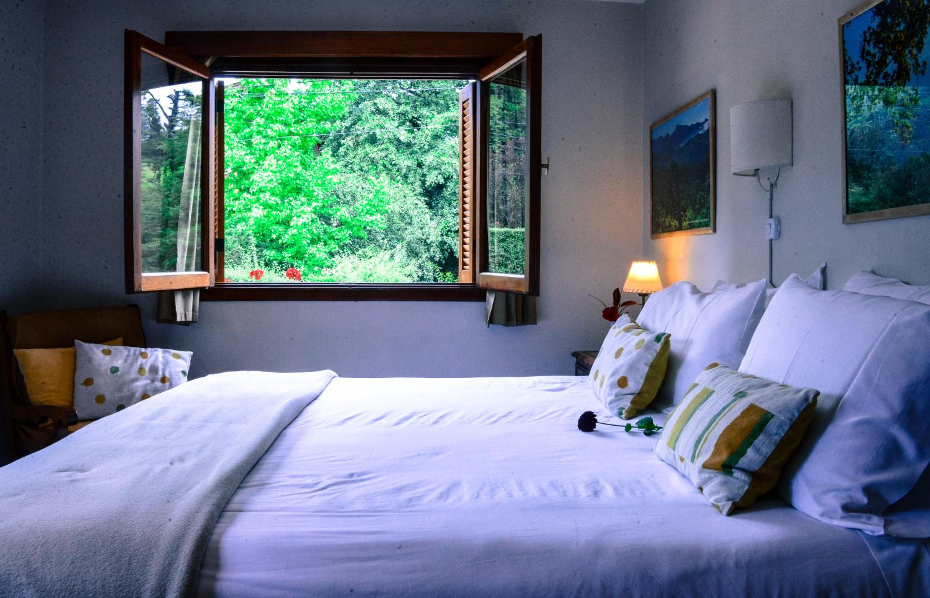 Standard Double or Twin Room photo 1