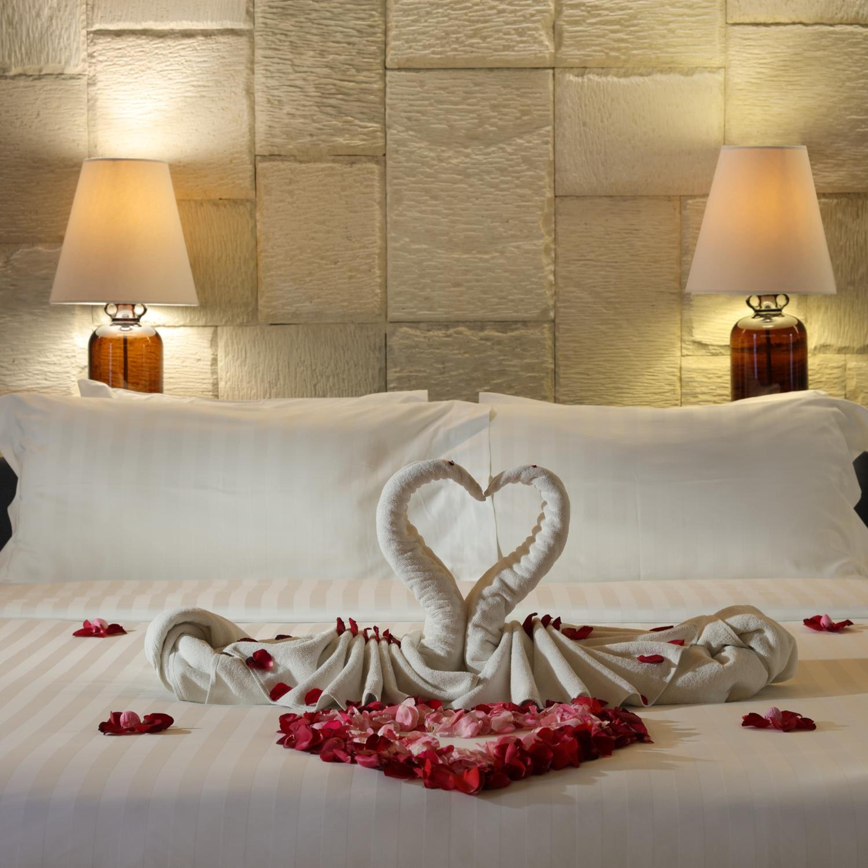 Suite - Photo 1