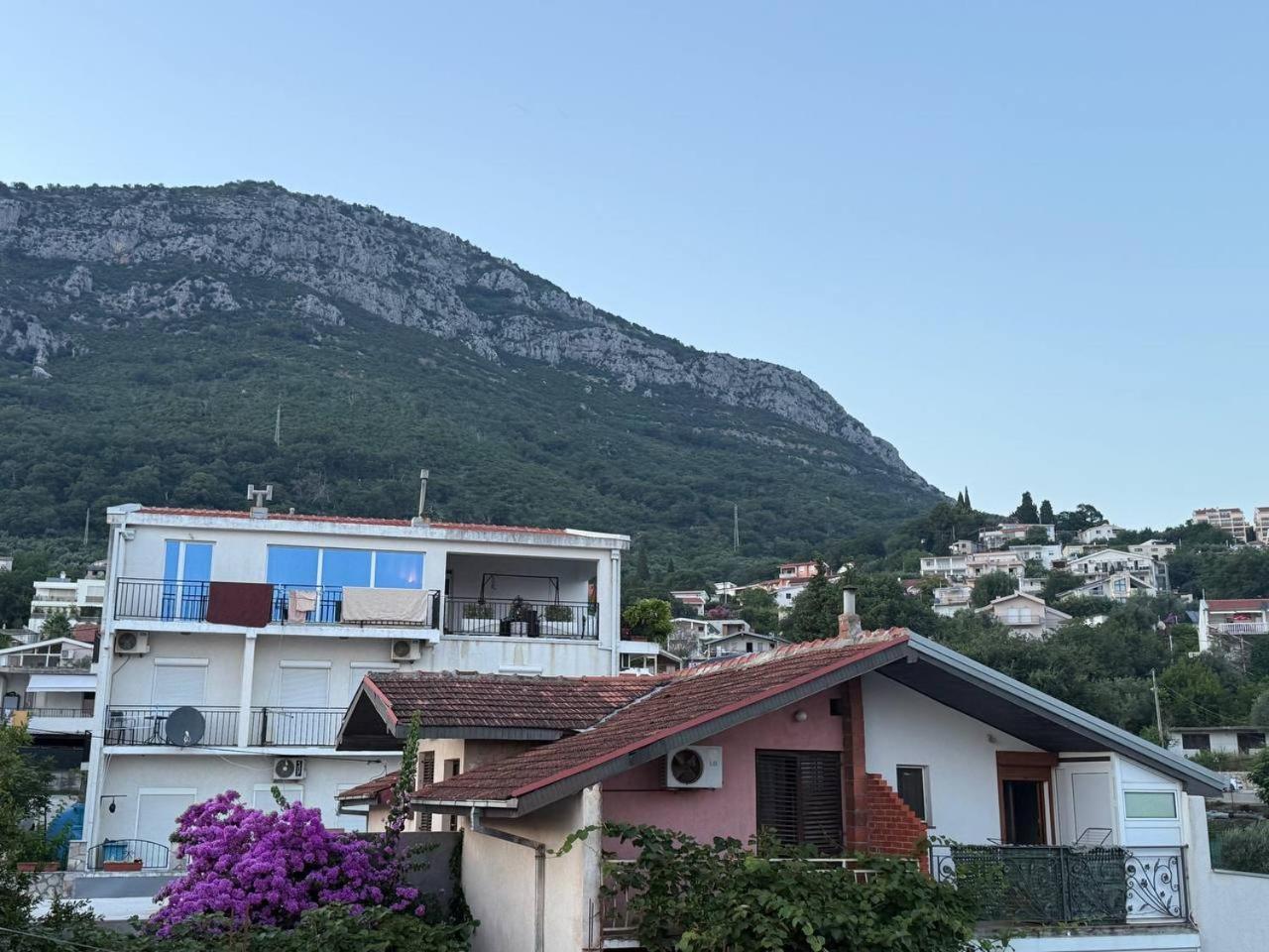 Superior Double or Twin Room with Mountain View