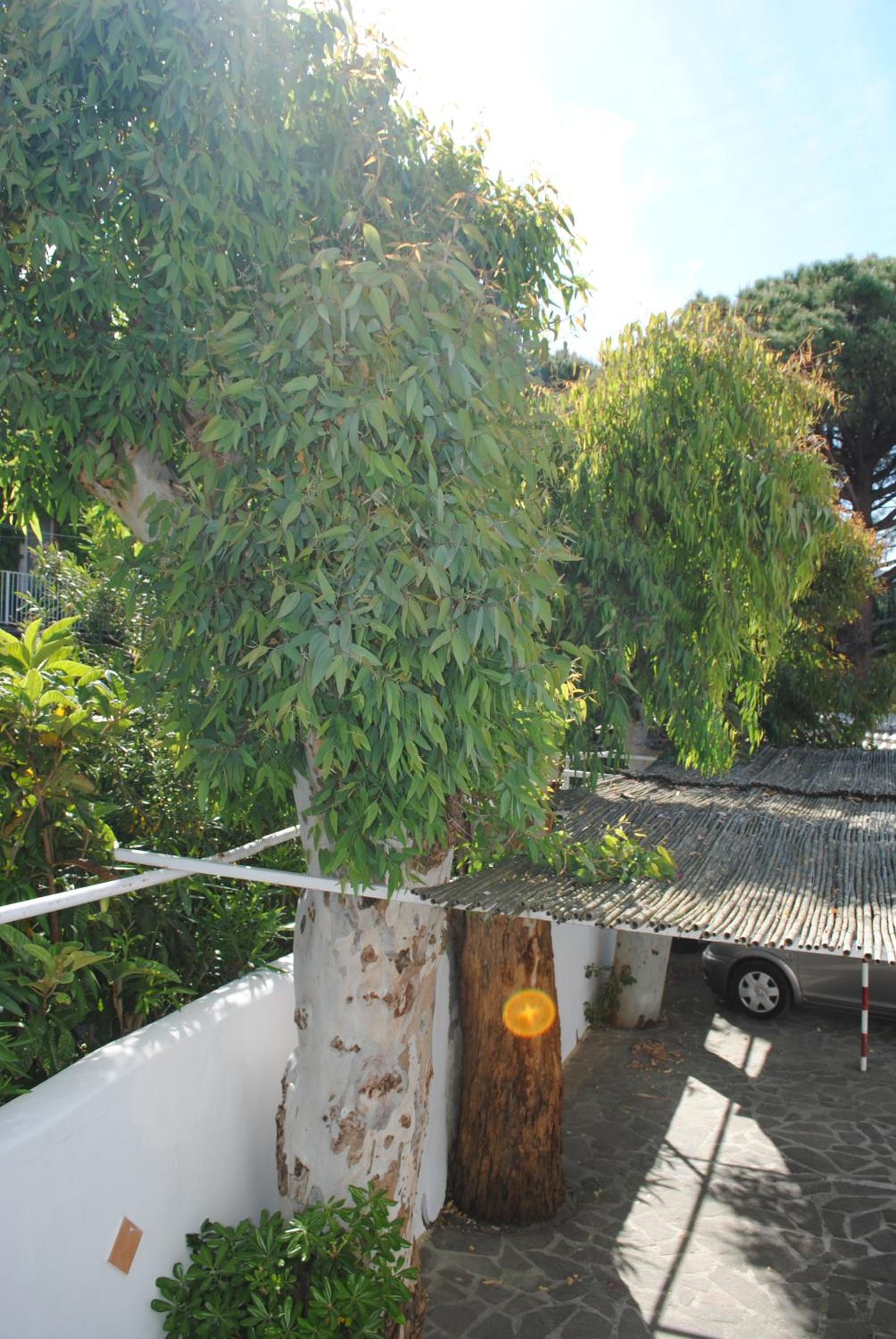 Double Room - Photo 6