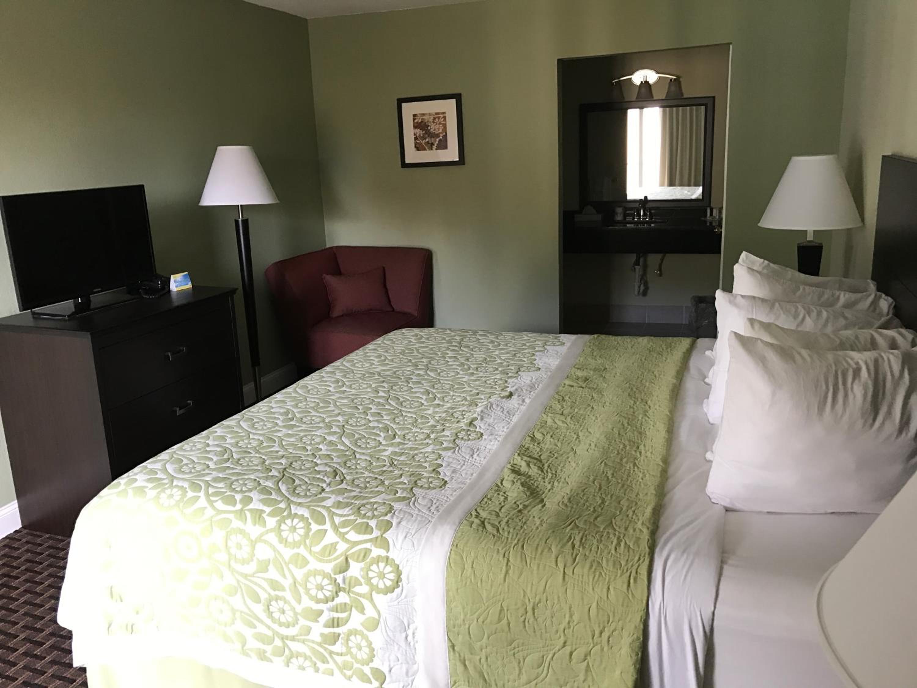 Deluxe King Suite - Photo 6