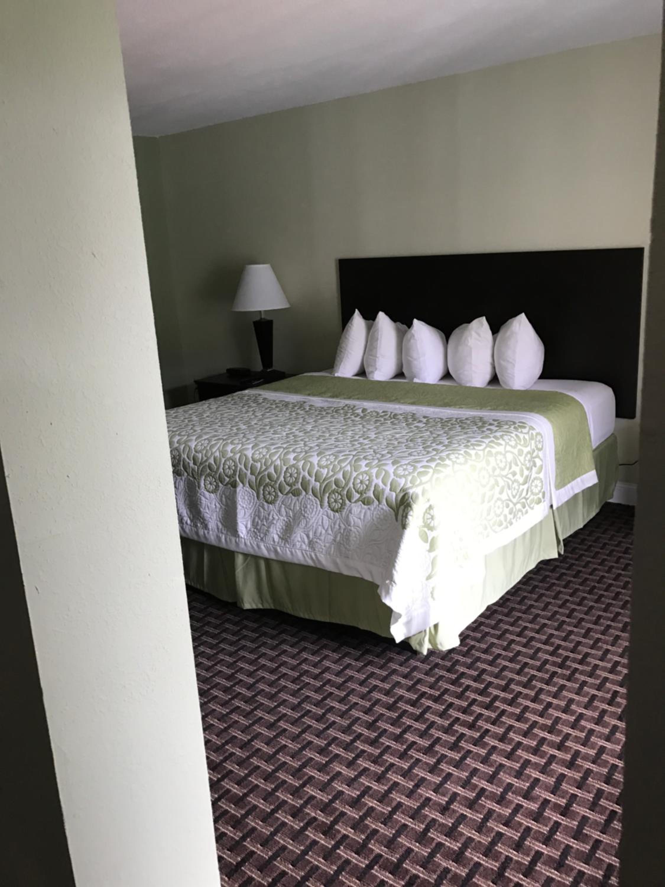 Deluxe King Suite - Photo 8