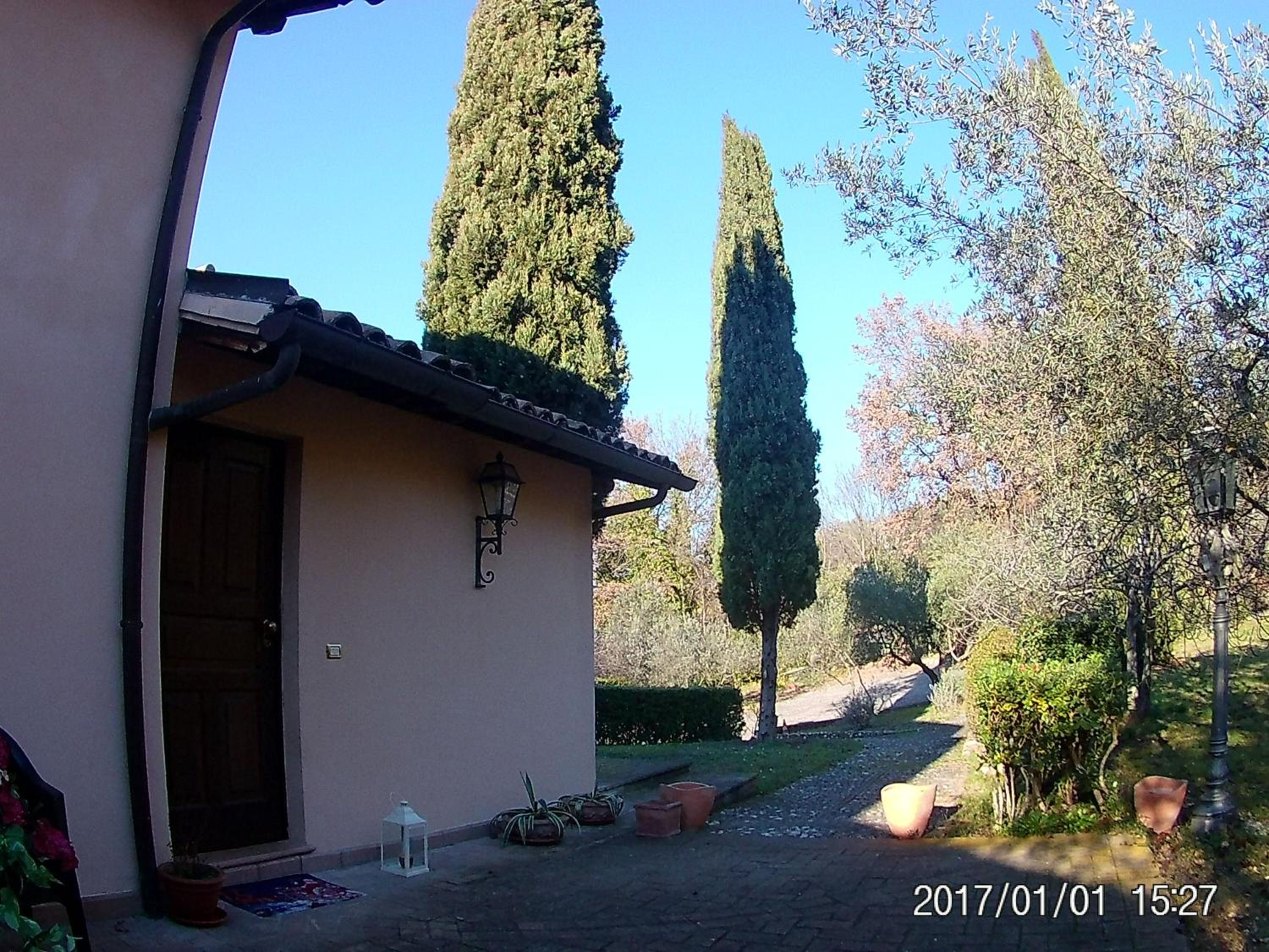 Apartment - Photo 12
