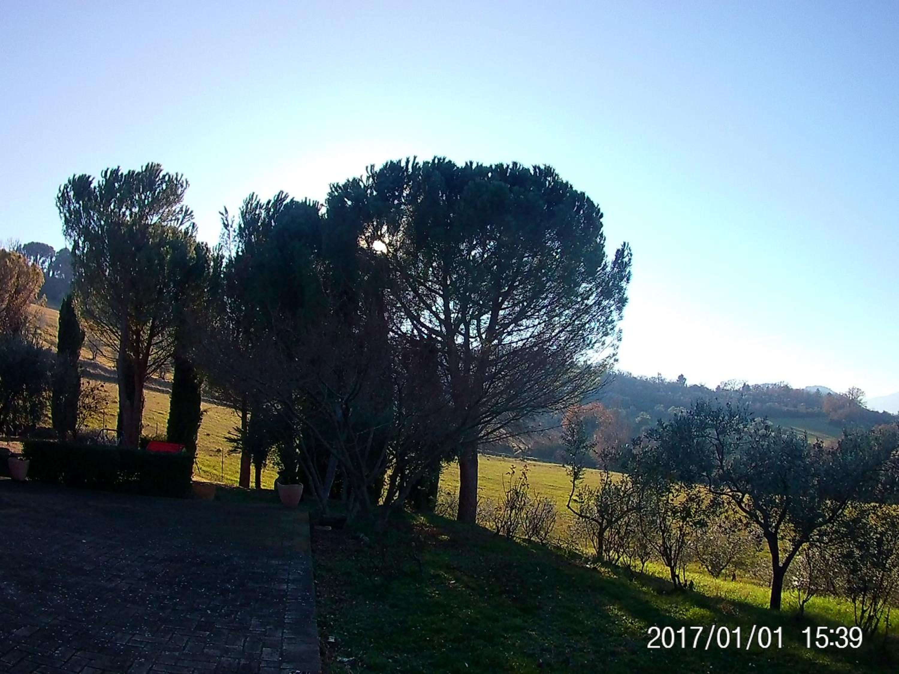 Apartment - Photo 20