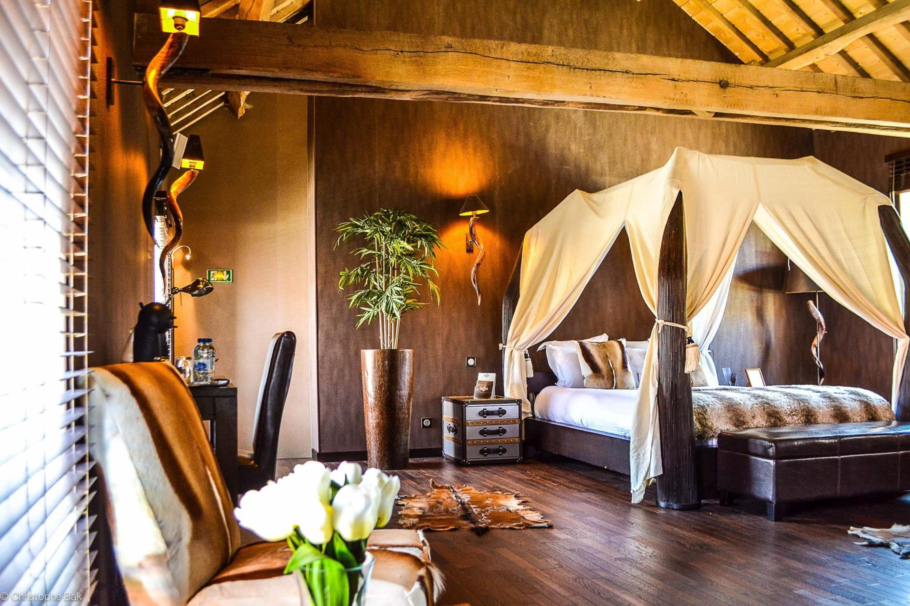 Suite with Terrace