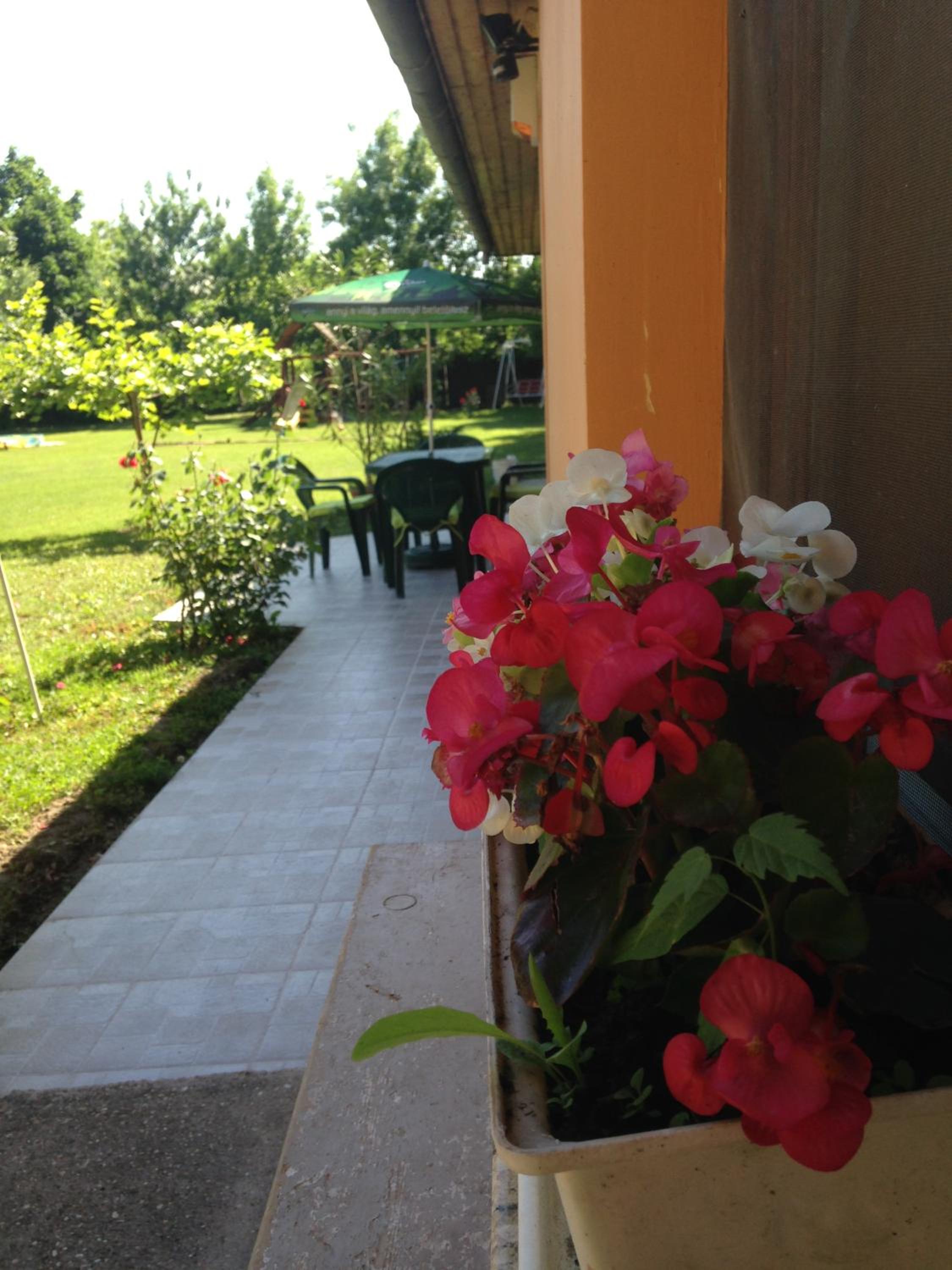 Apartment with Garden View - Photo 7