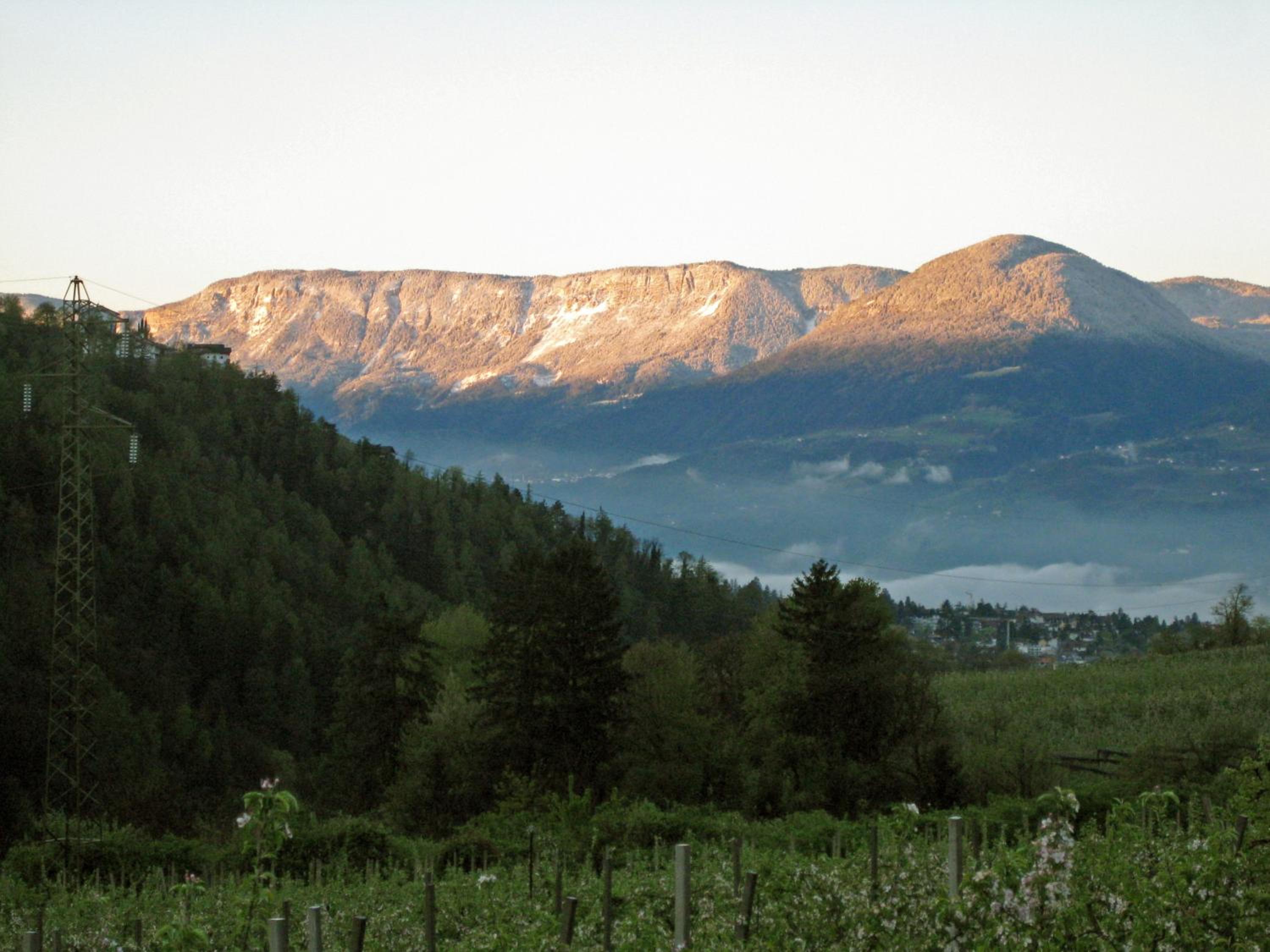Double Room with Mountain View photo 3