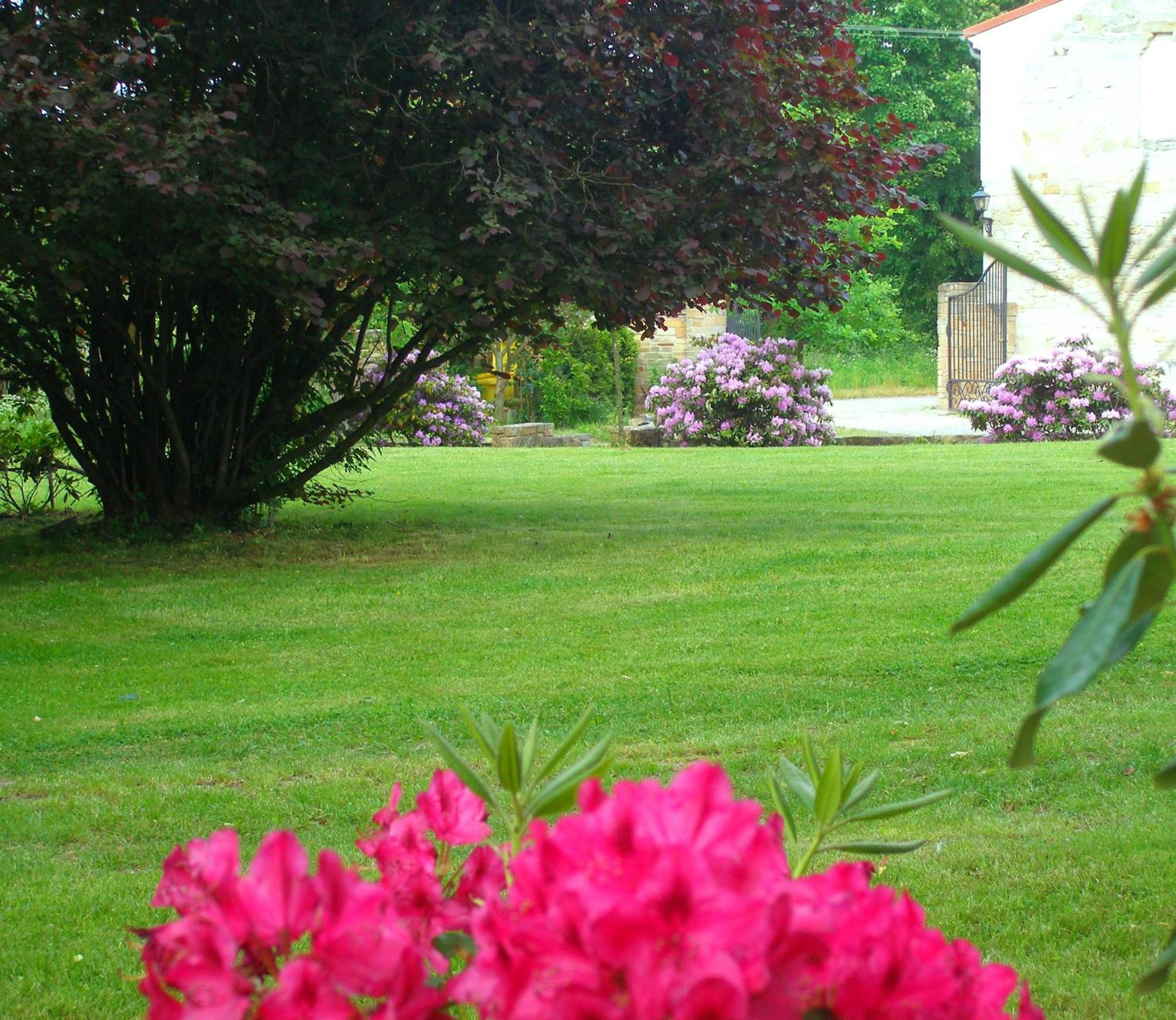 Deluxe Villa - Photo 24