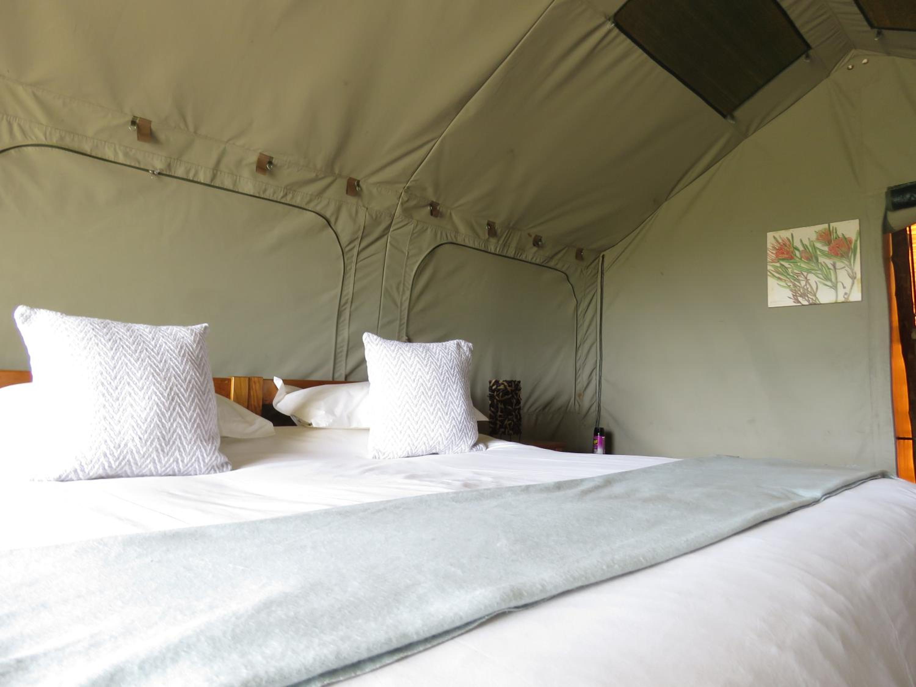 Tent photo 2