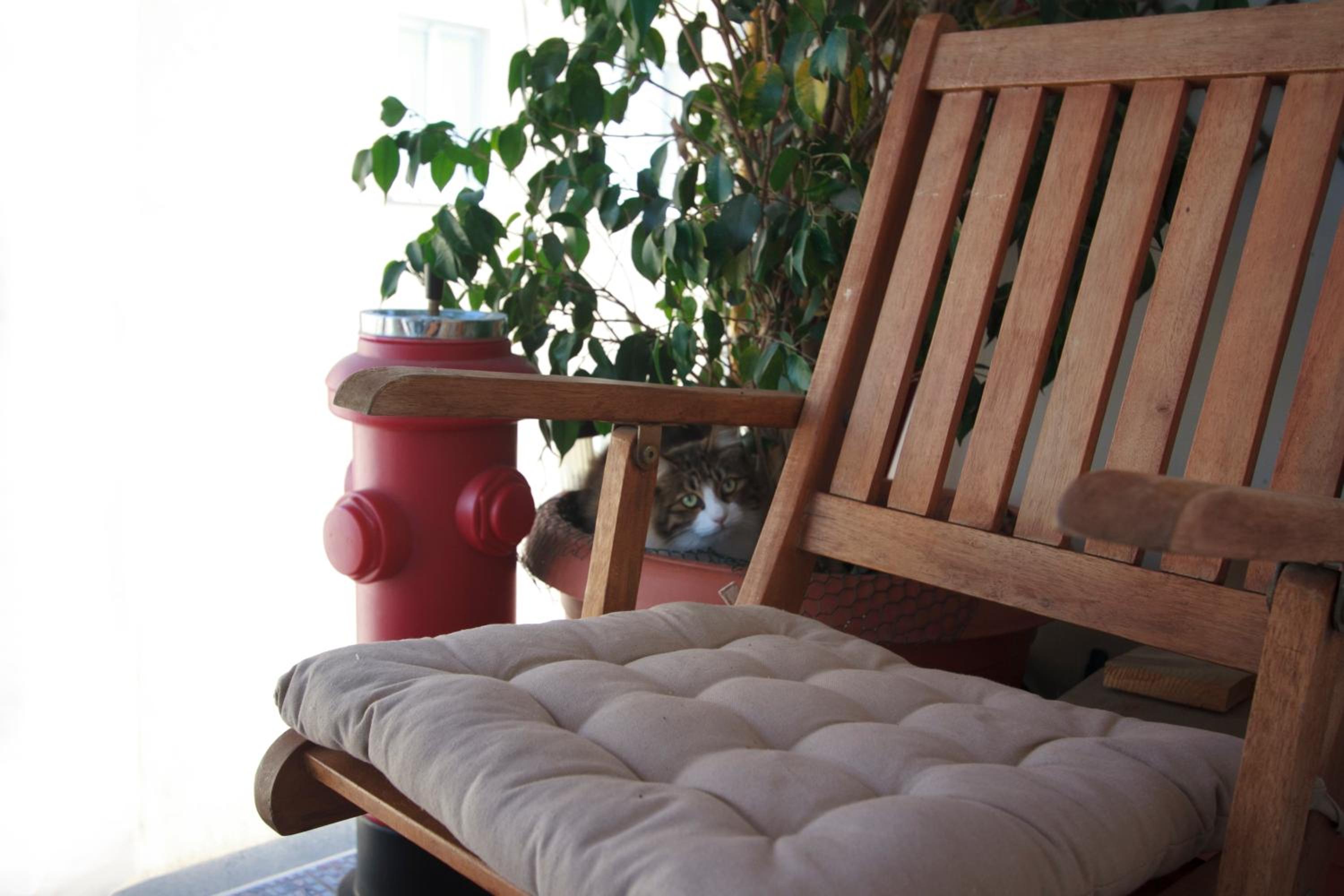 Penthouse Apartment - Cat Sitting - Photo 54