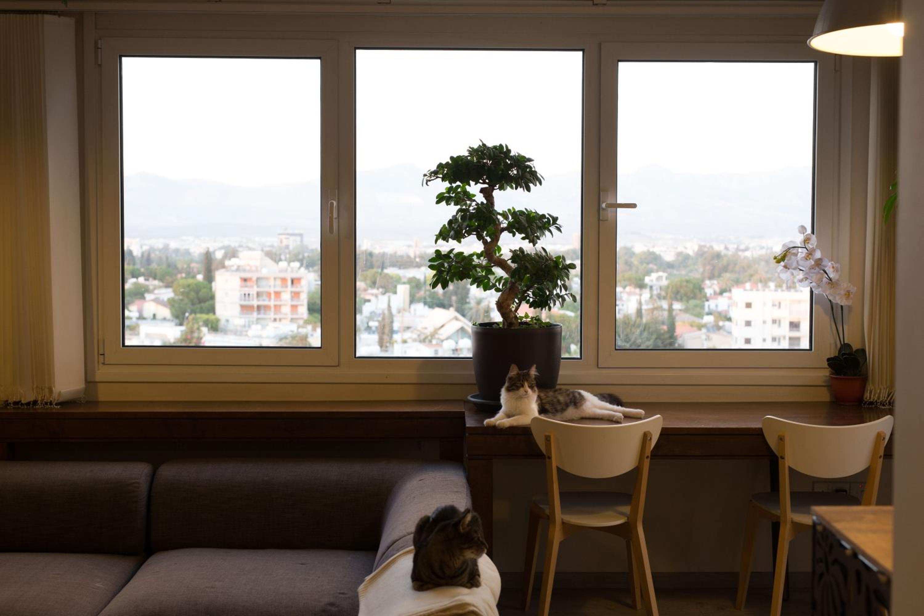 Penthouse Apartment - Cat Sitting - Photo 64