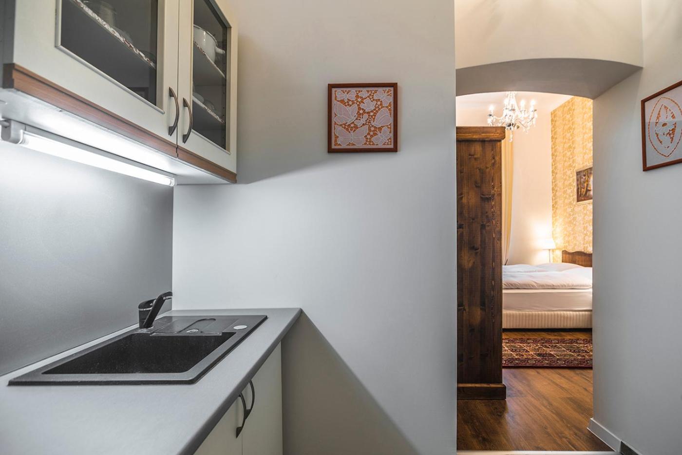 Deluxe Apartment with Kitchen - Photo 17