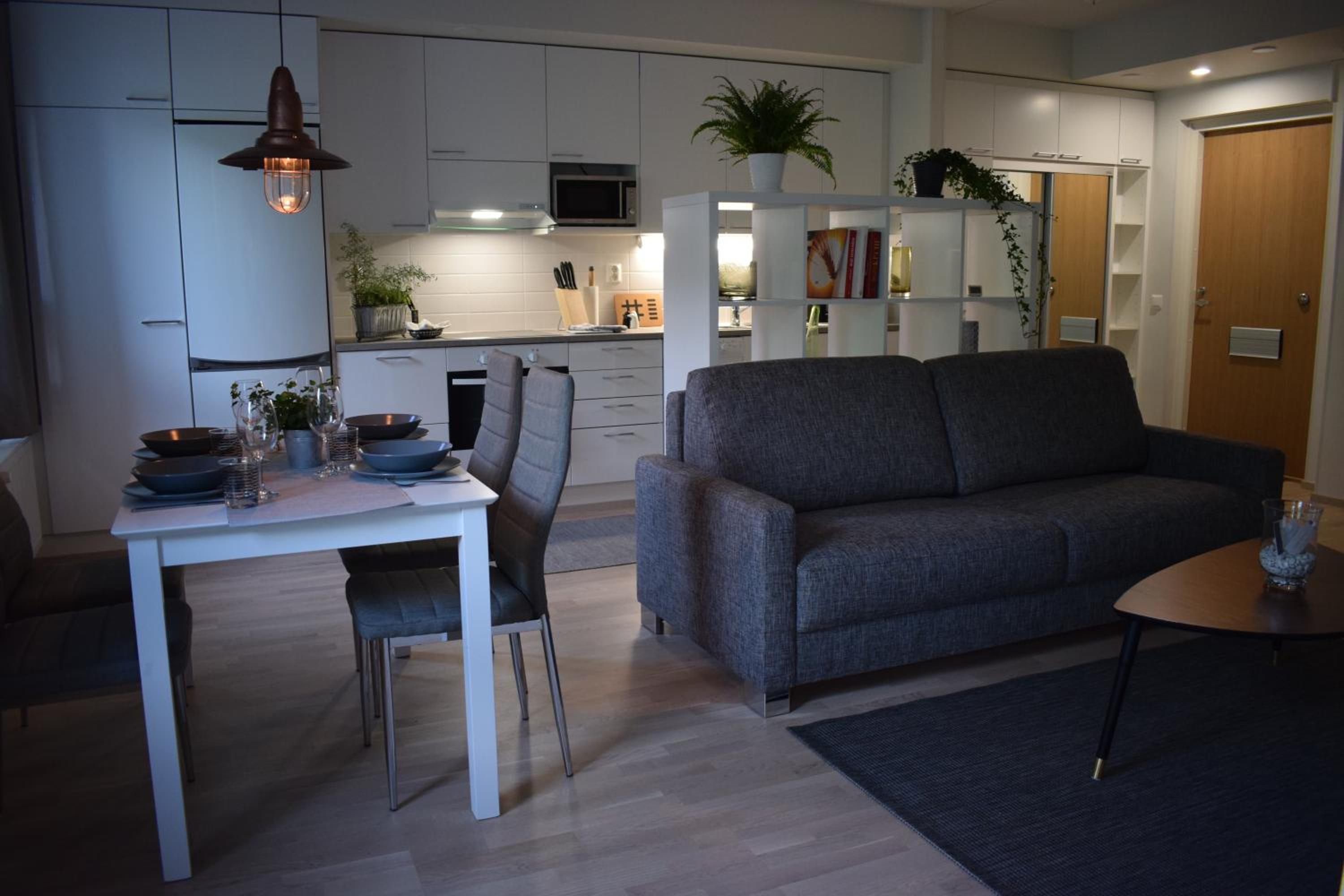 Apartment with Sauna photo 1