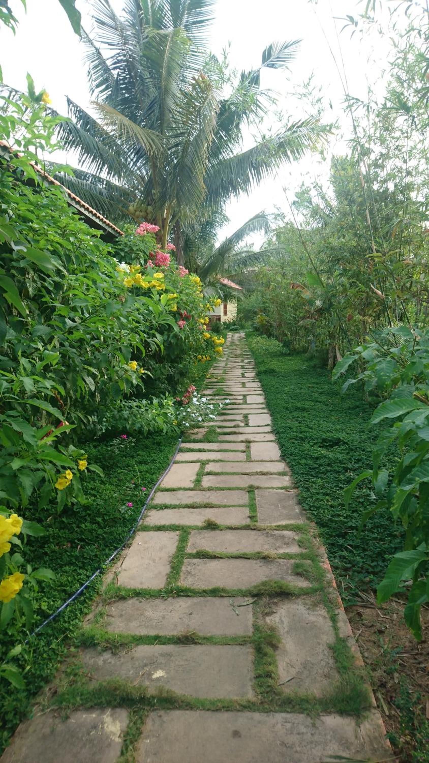 King Room with Garden View photo 3