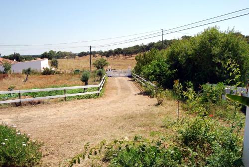 Holiday Home photo 3