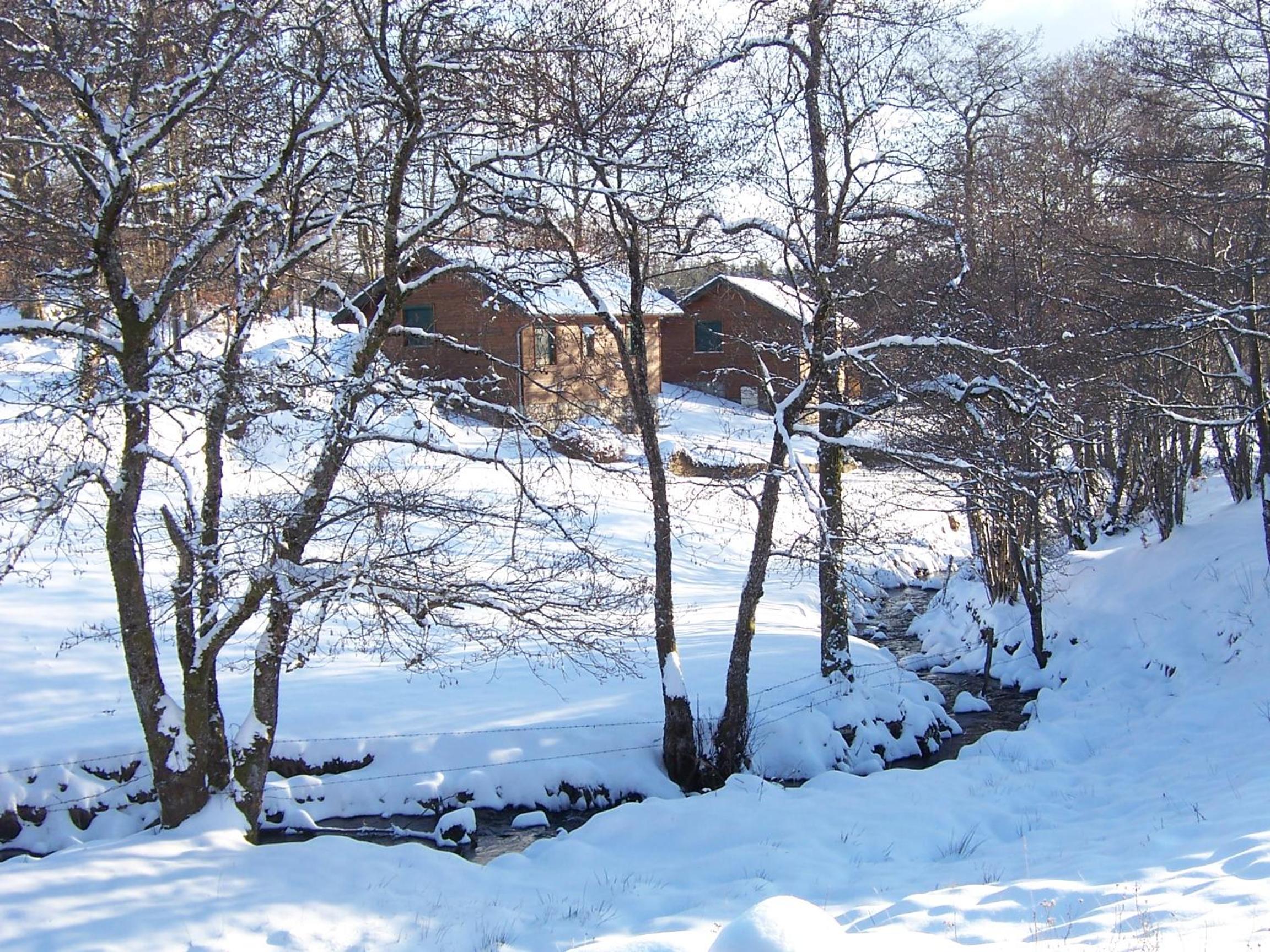 Two-Bedroom Chalet photo 1