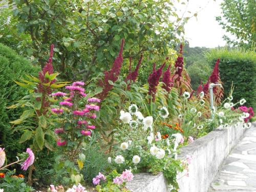 Holiday Home photo 1