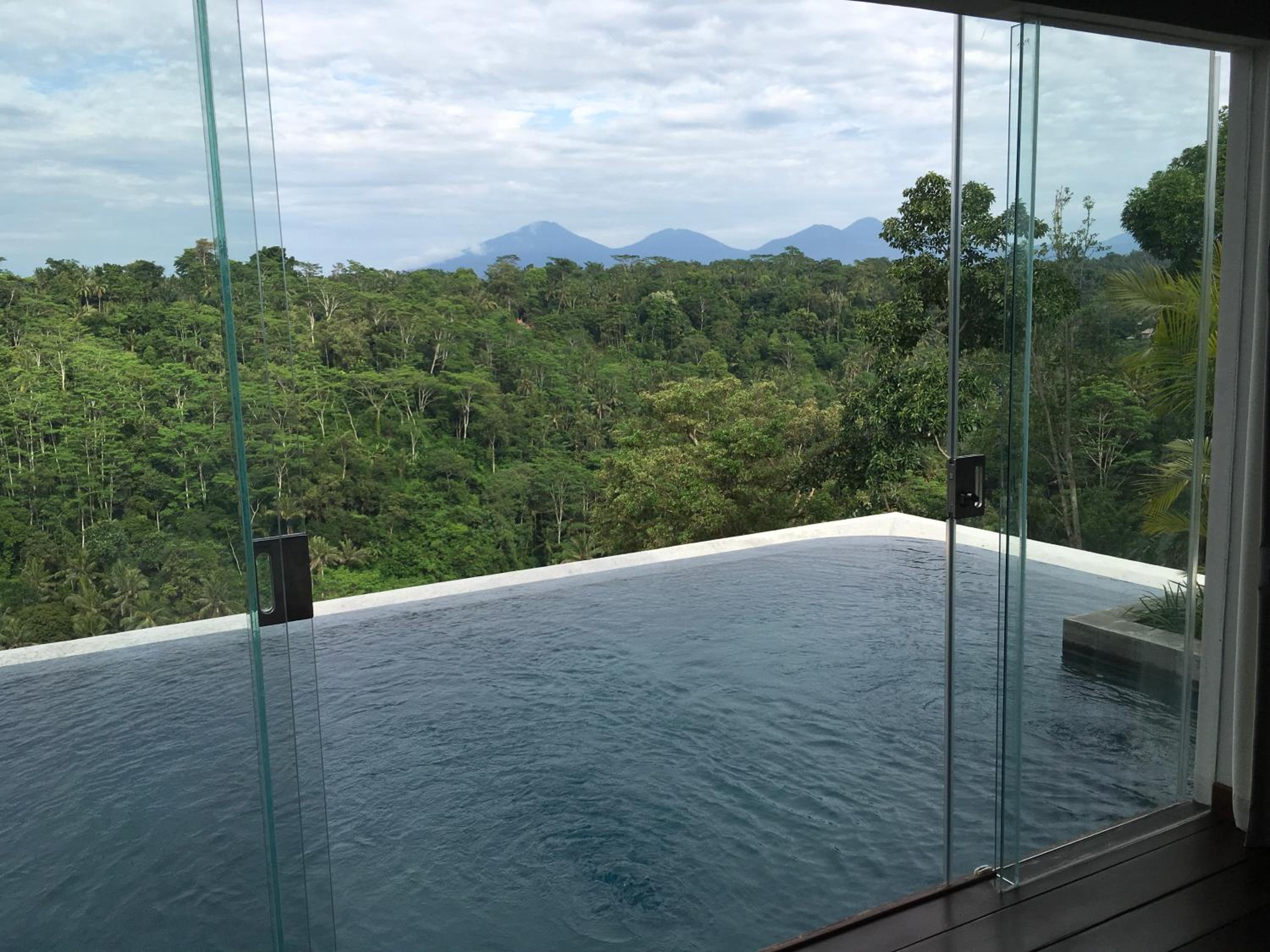 Ayuterra Two-Bedroom Panoramic Villa with Private Pool and Jacuzzi  photo 3