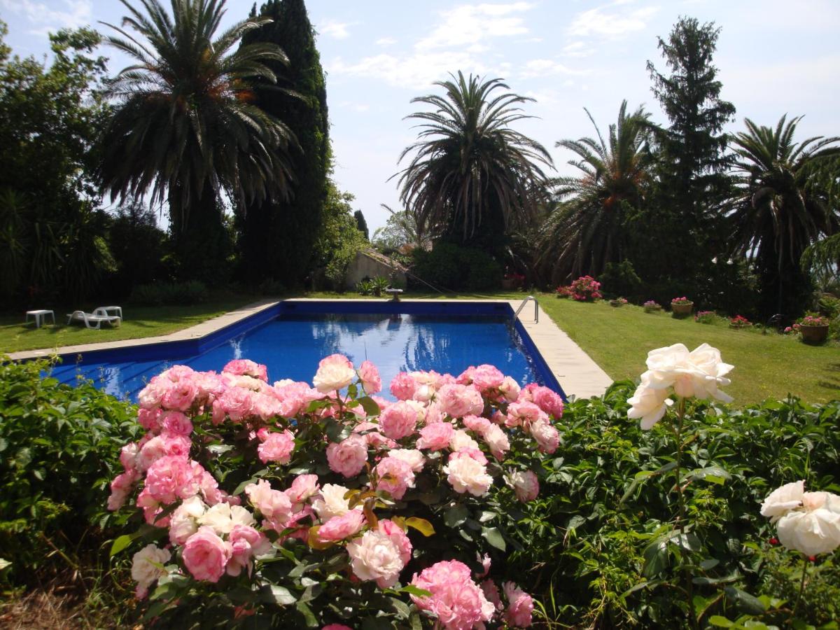 Holiday Home photo 3