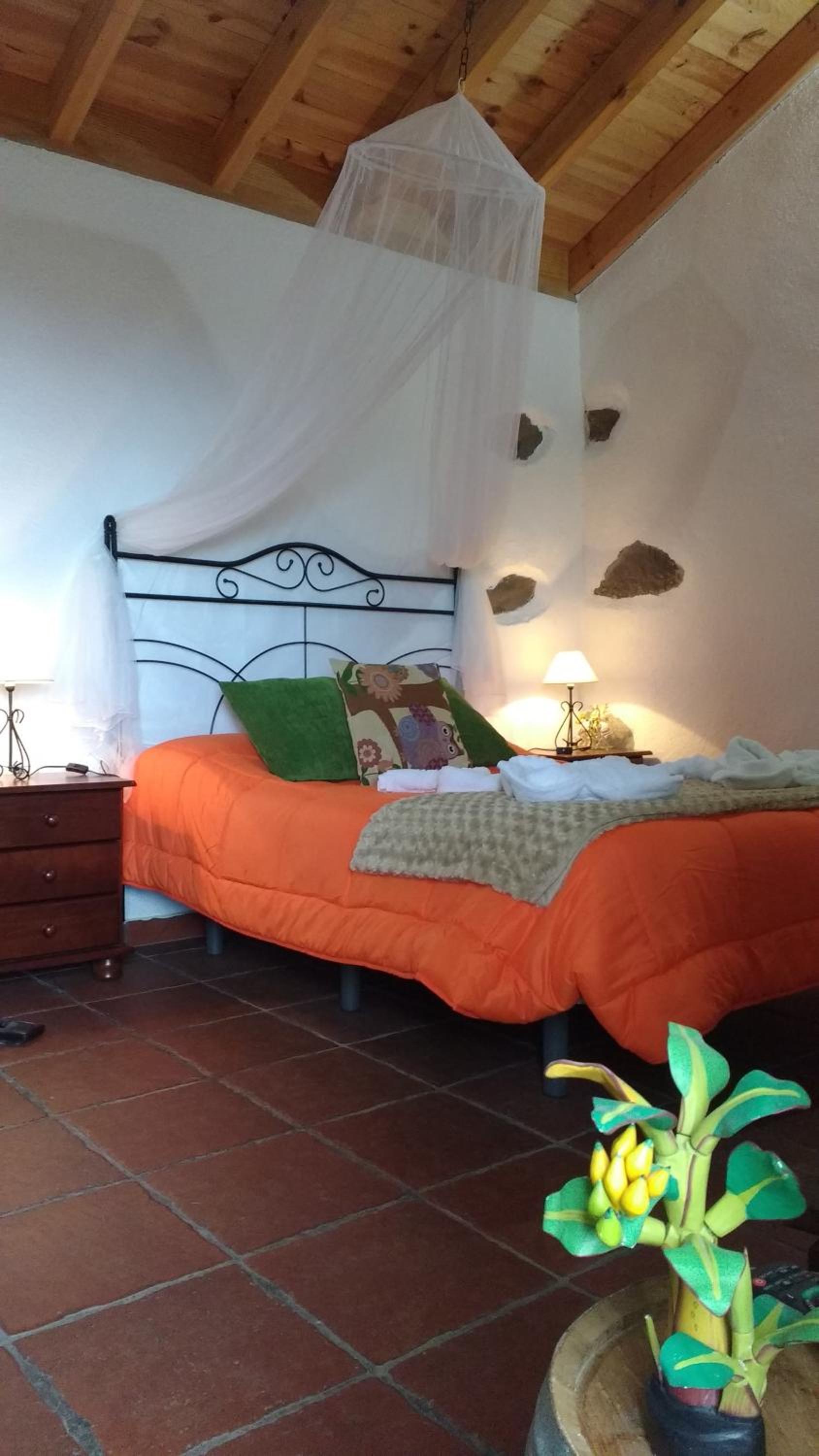 One-Bedroom House photo 3