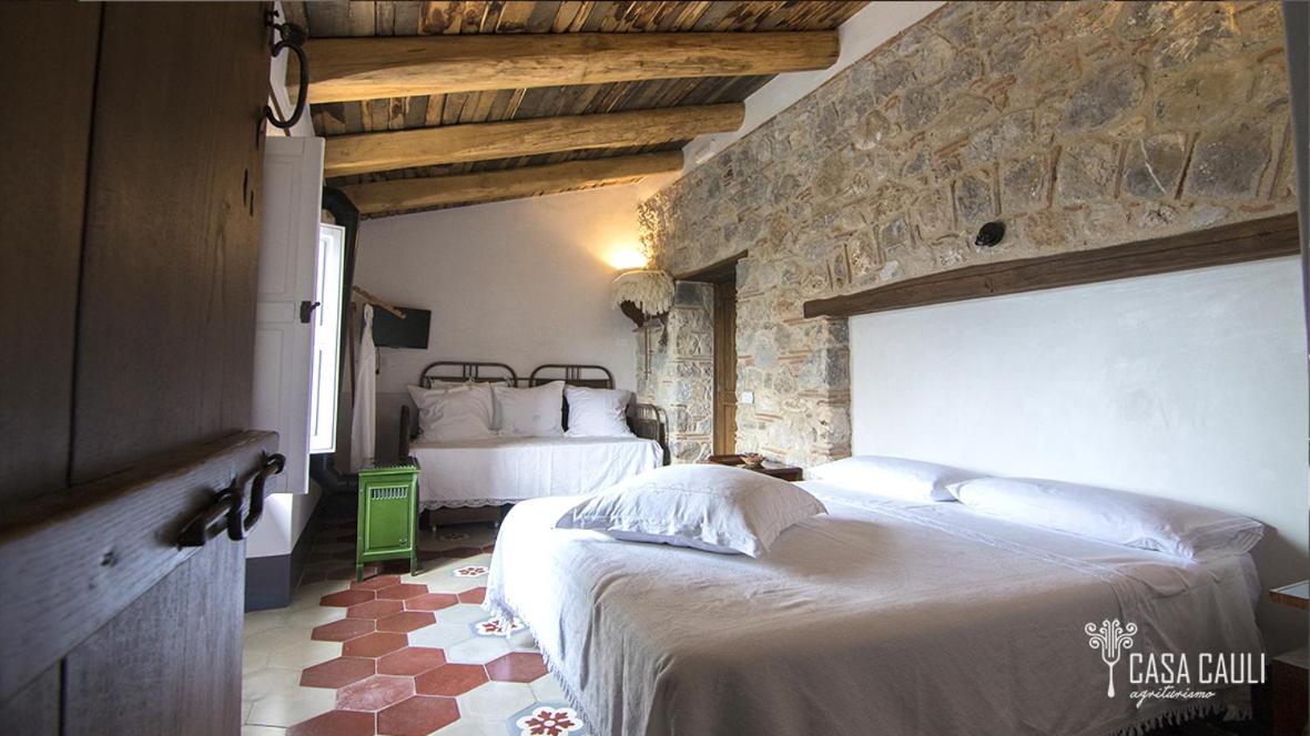 Double Room with Garden View photo 1