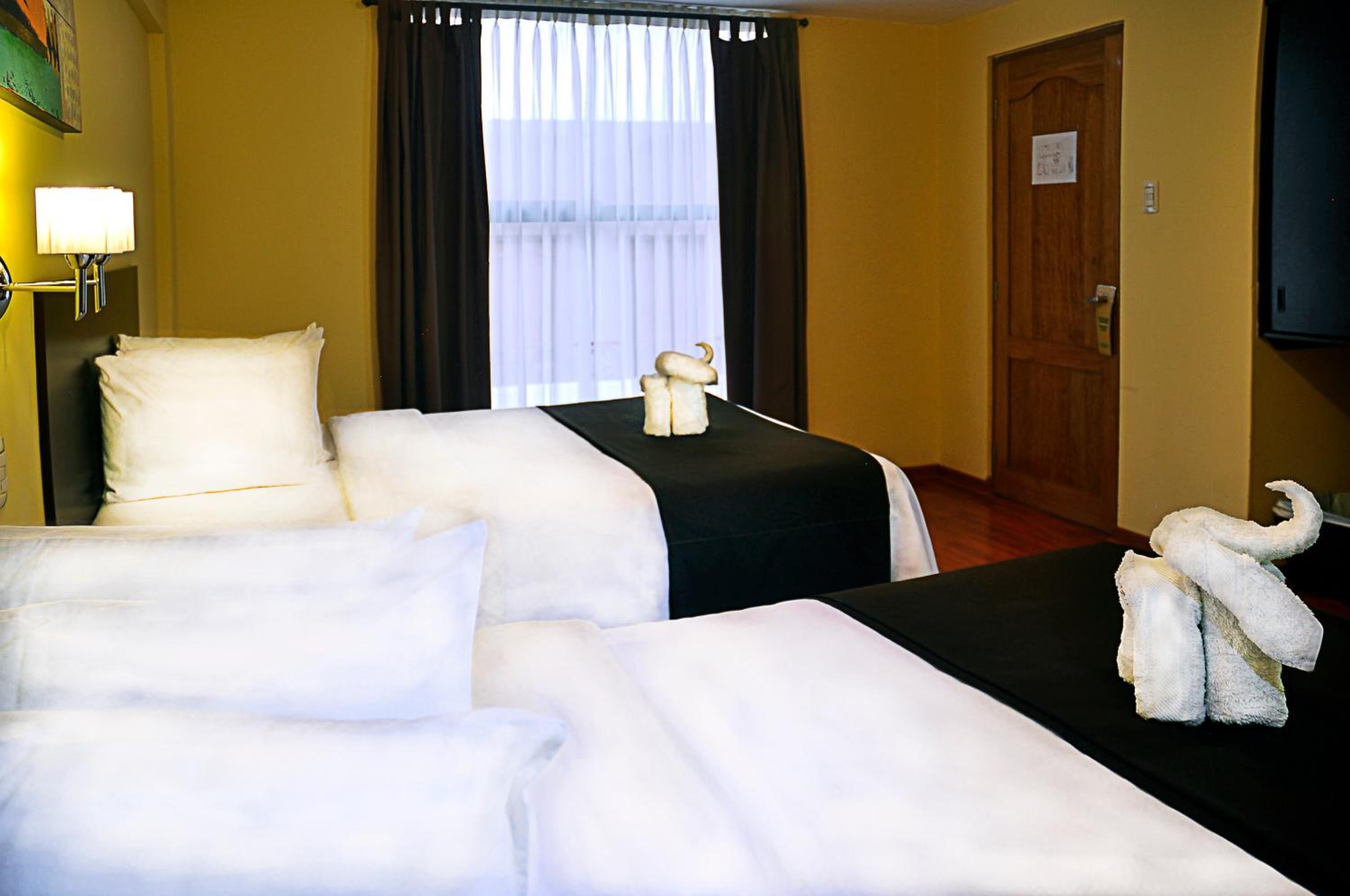 Twin Room - Photo 3