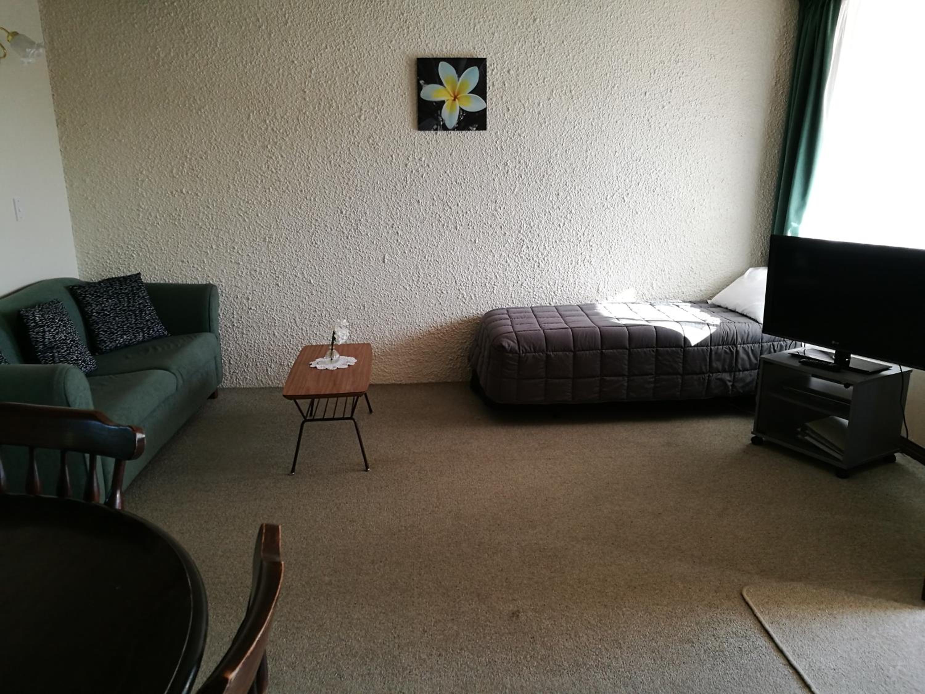 Superior One-Bedroom Apartment photo 1