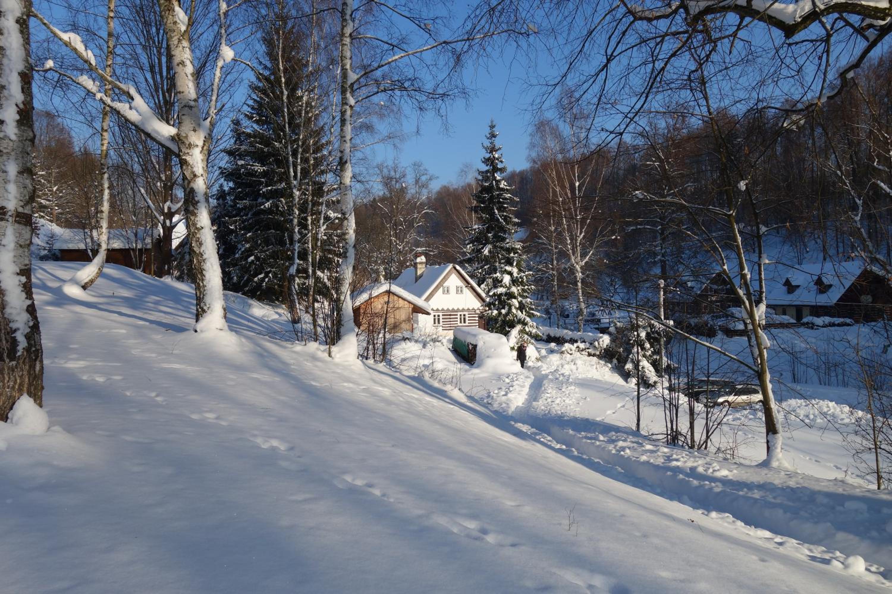 Chalet photo 1