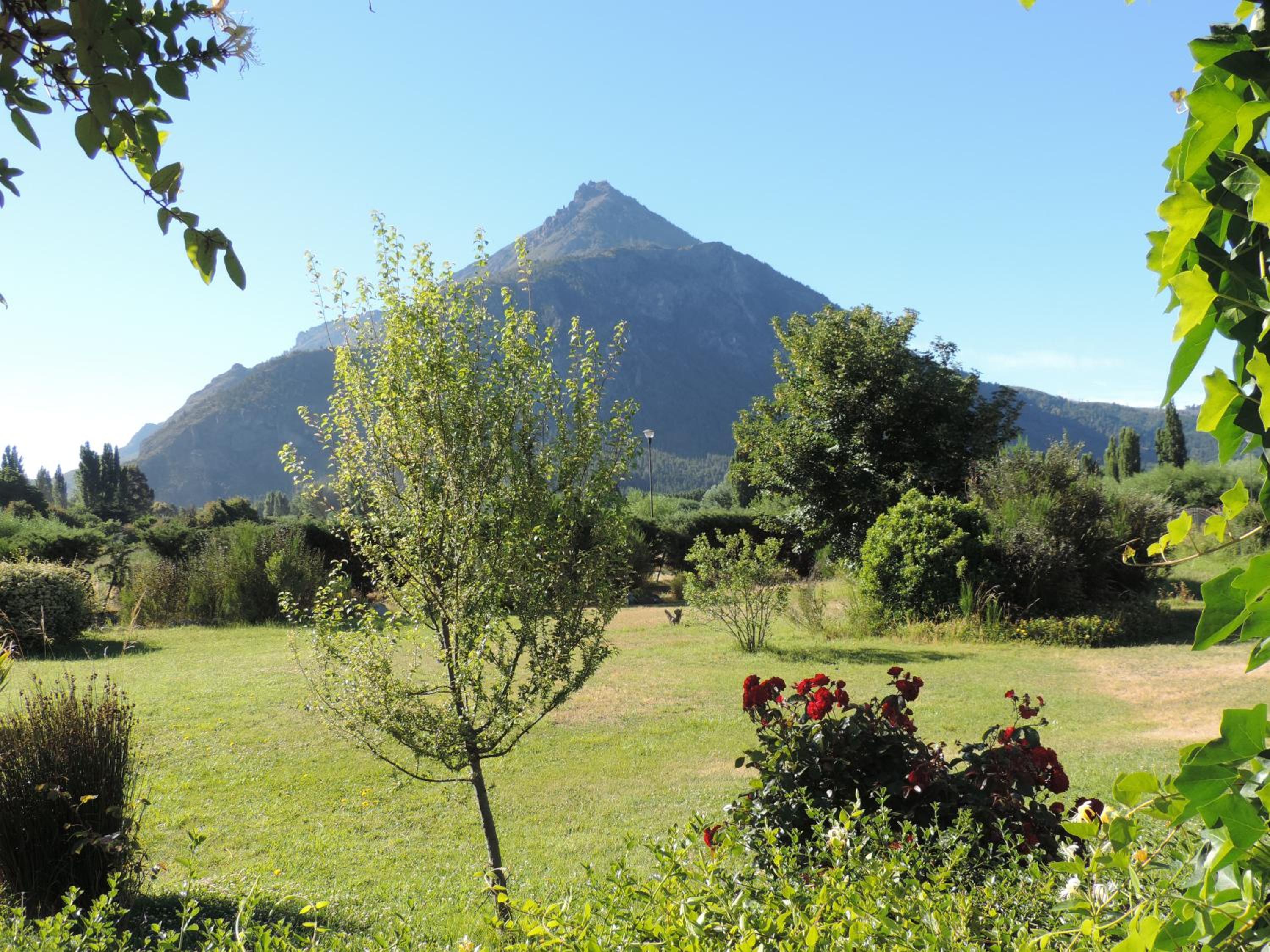 Superior Double or Twin Room with Mountain View photo 2
