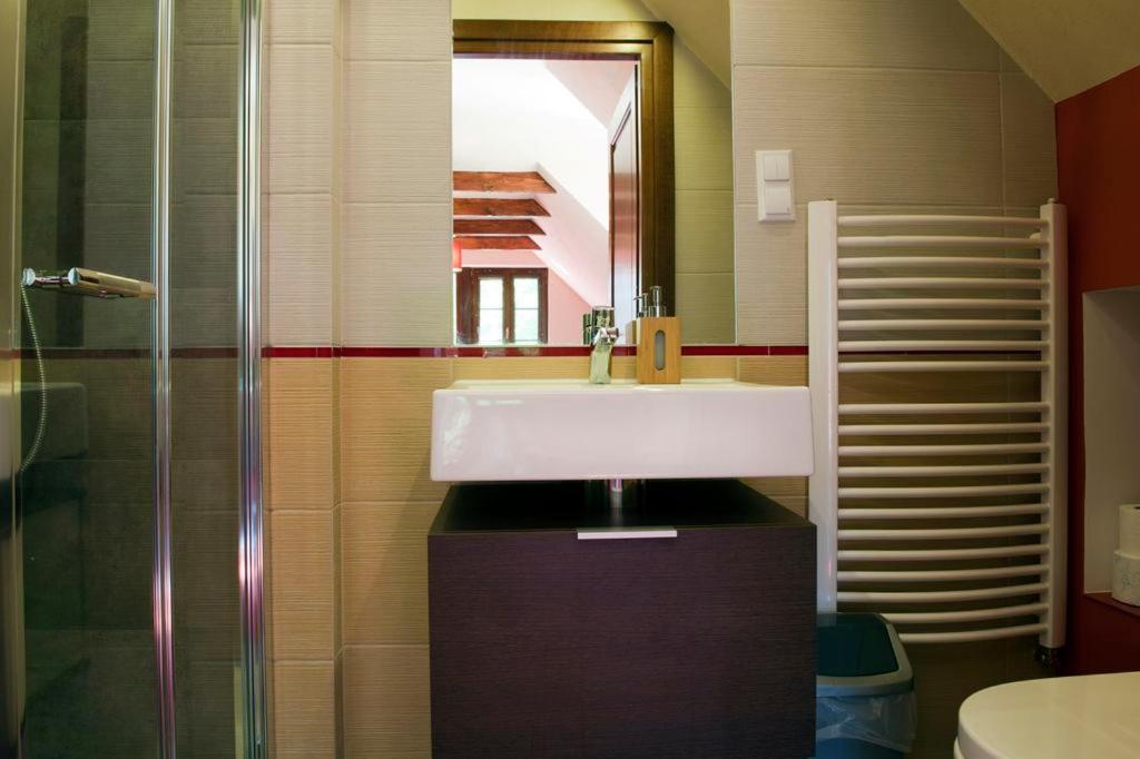 Apartment with Terrace photo 3