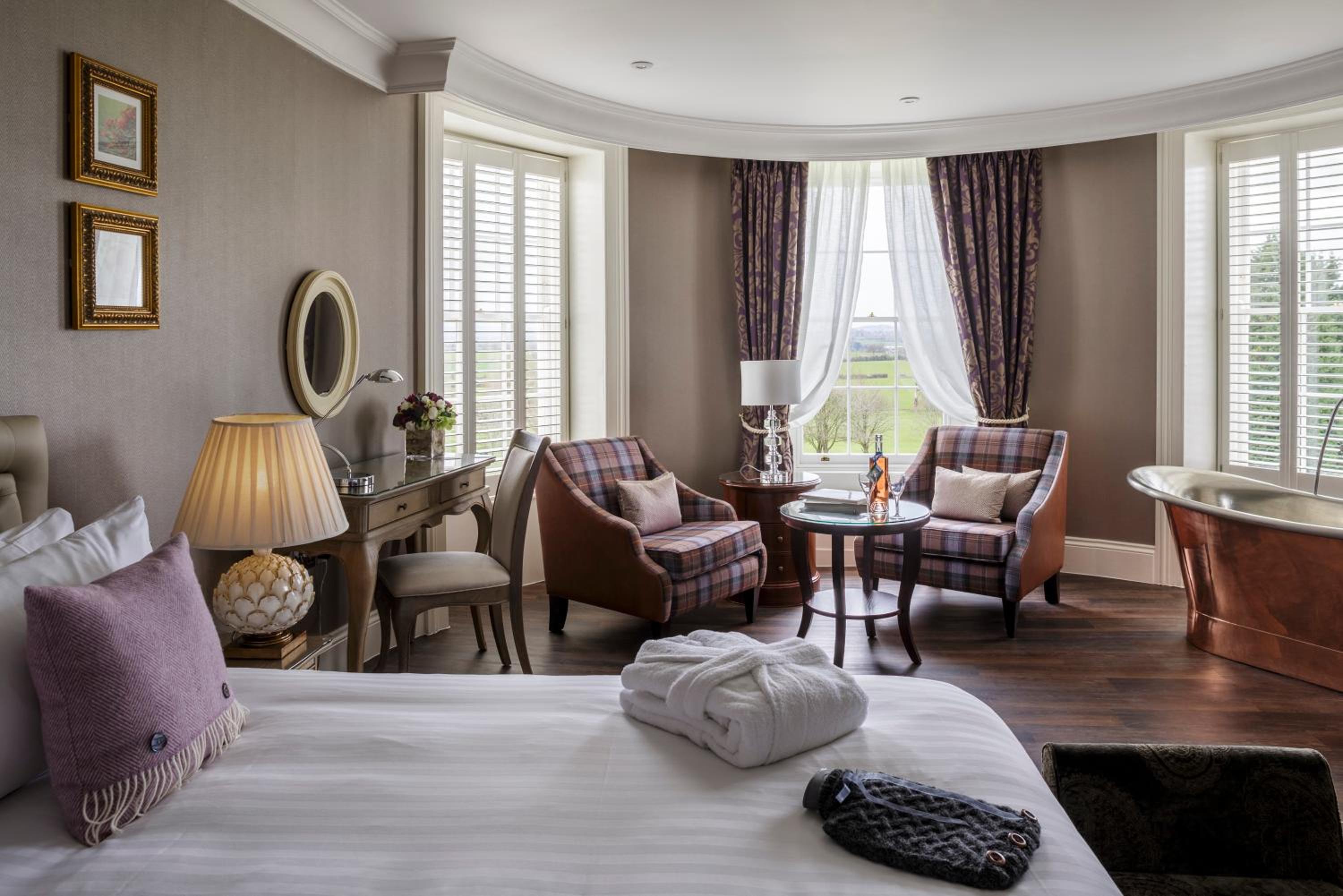 Suite - Photo 1