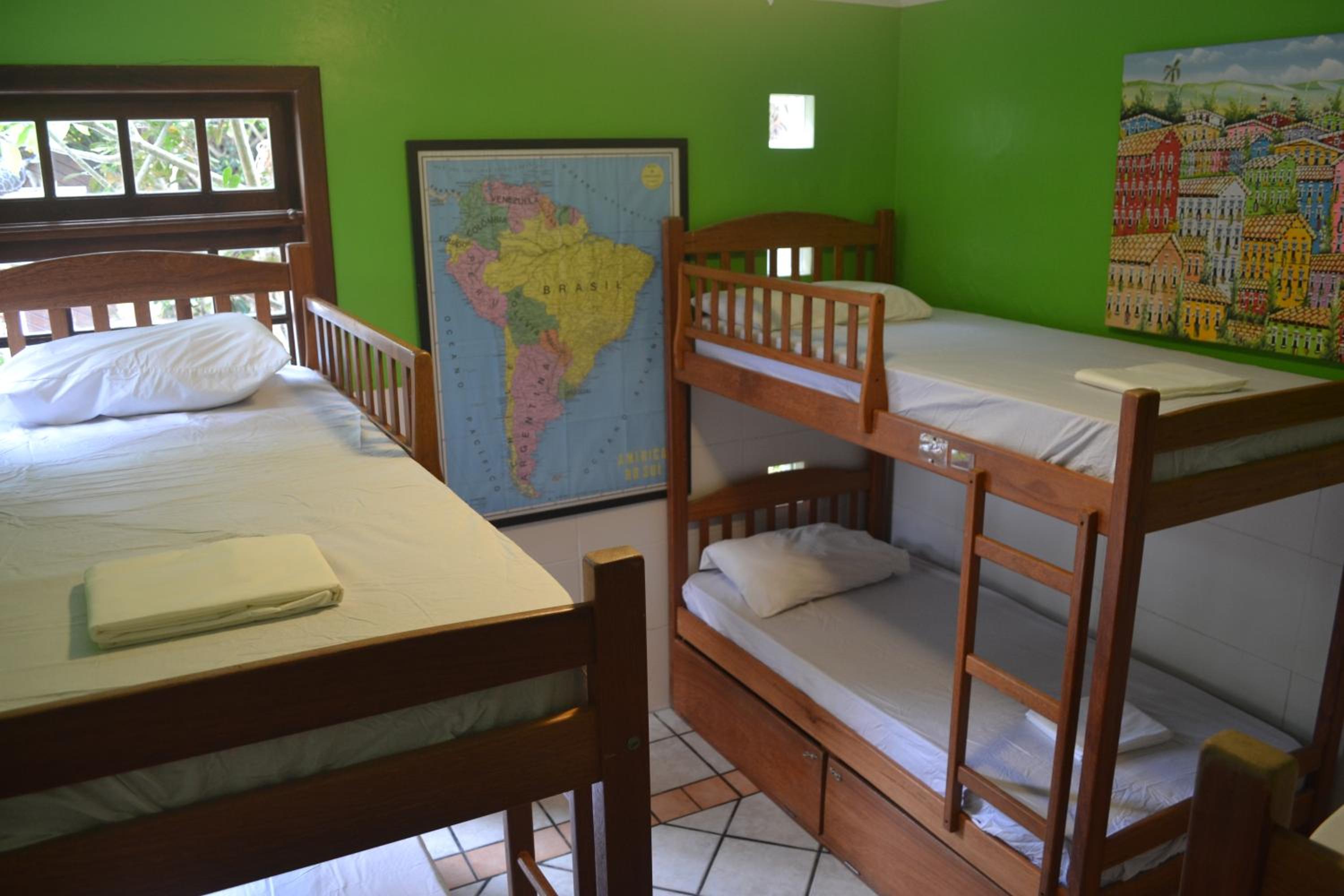 Bunk Bed in Mixed Dormitory Room photo 1