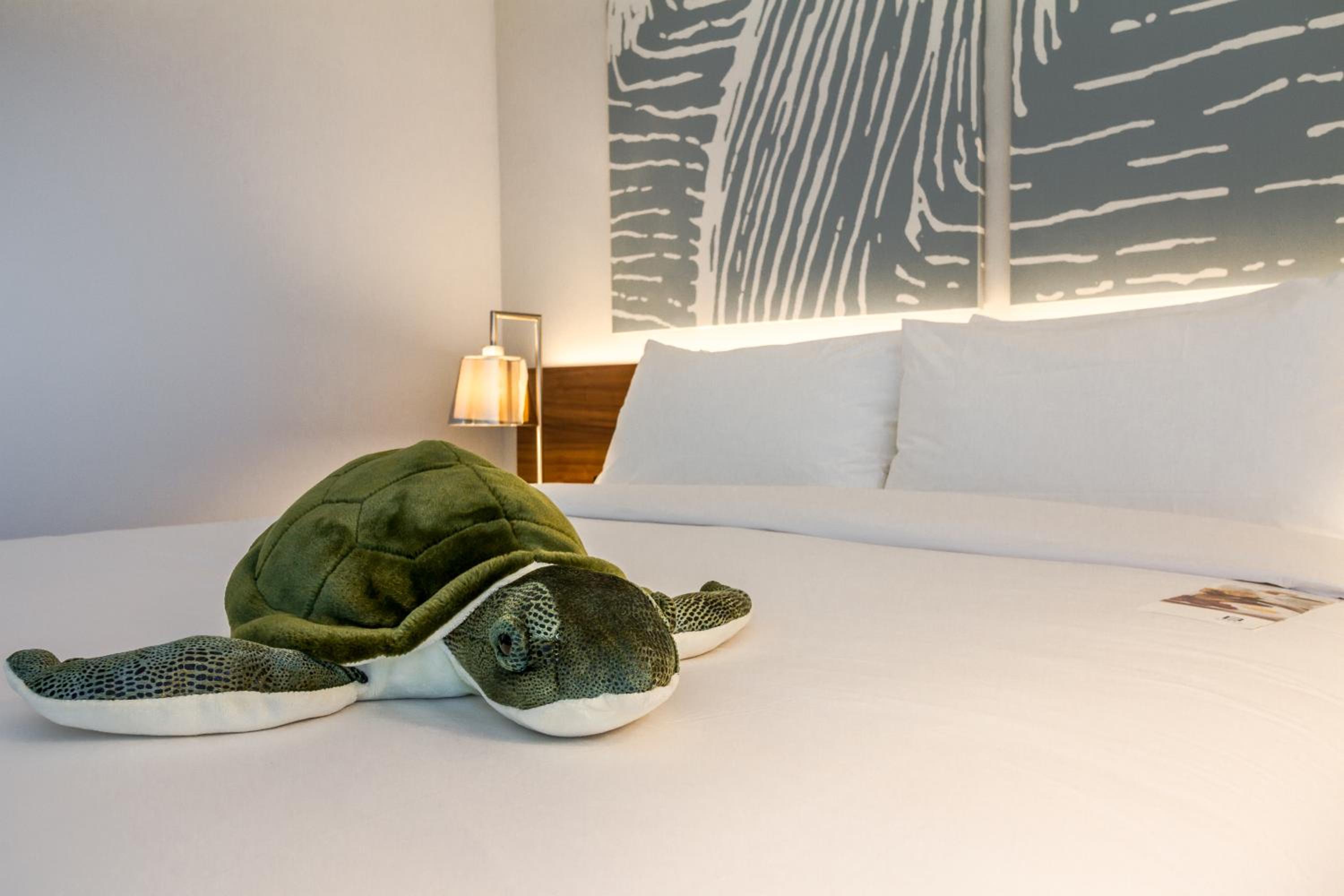 Intracoastal View King Bed Room - Photo 3