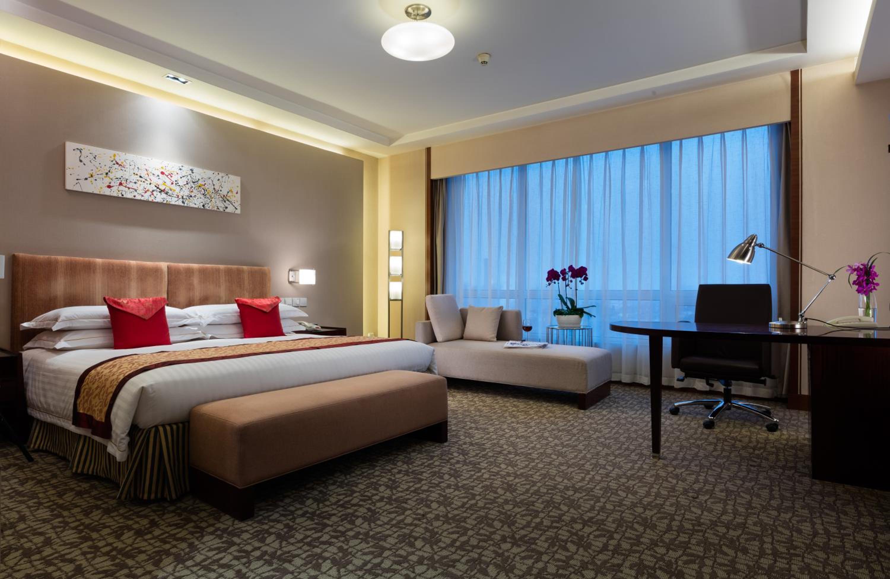 Studio Suite - Photo 4