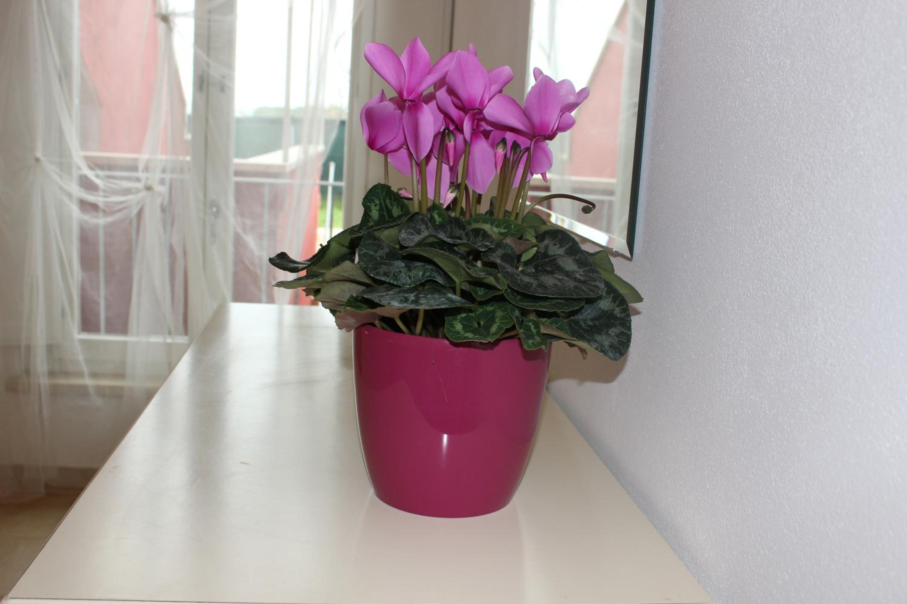Two-Bedroom Apartment - Photo 9
