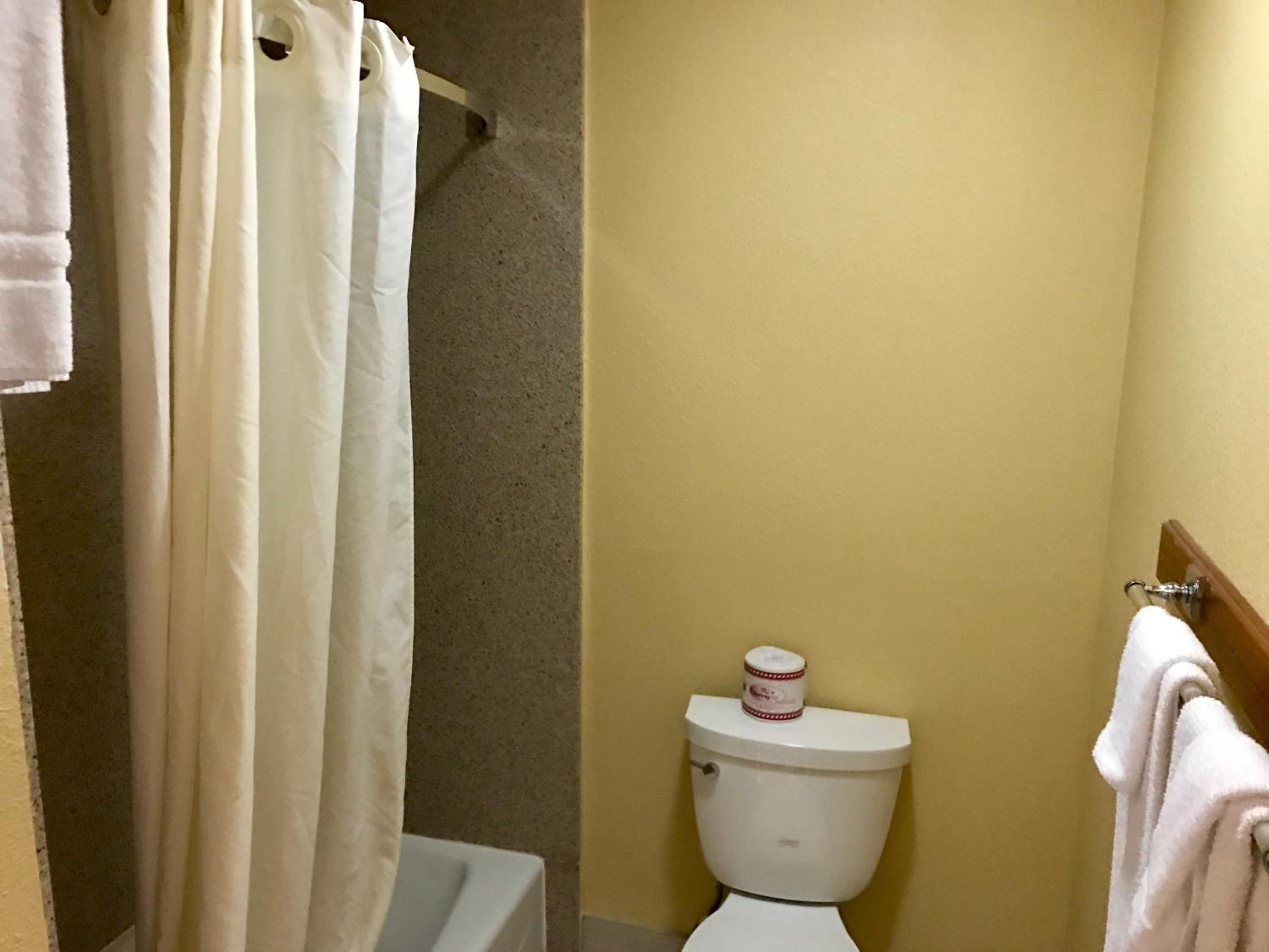 King Room - Non-Smoking - Photo 4