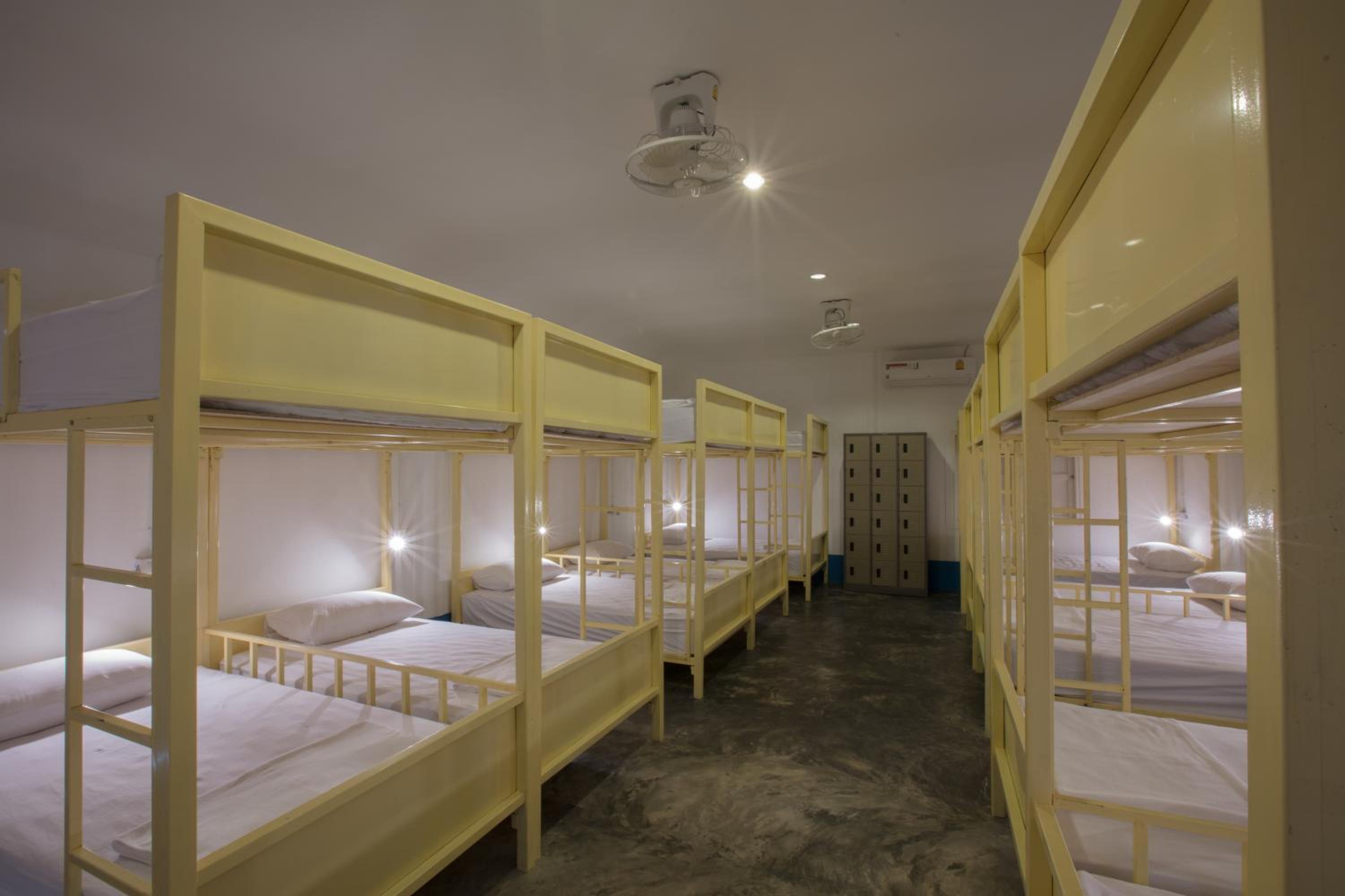 Bunk Bed in Mixed Dormitory Room photo 1